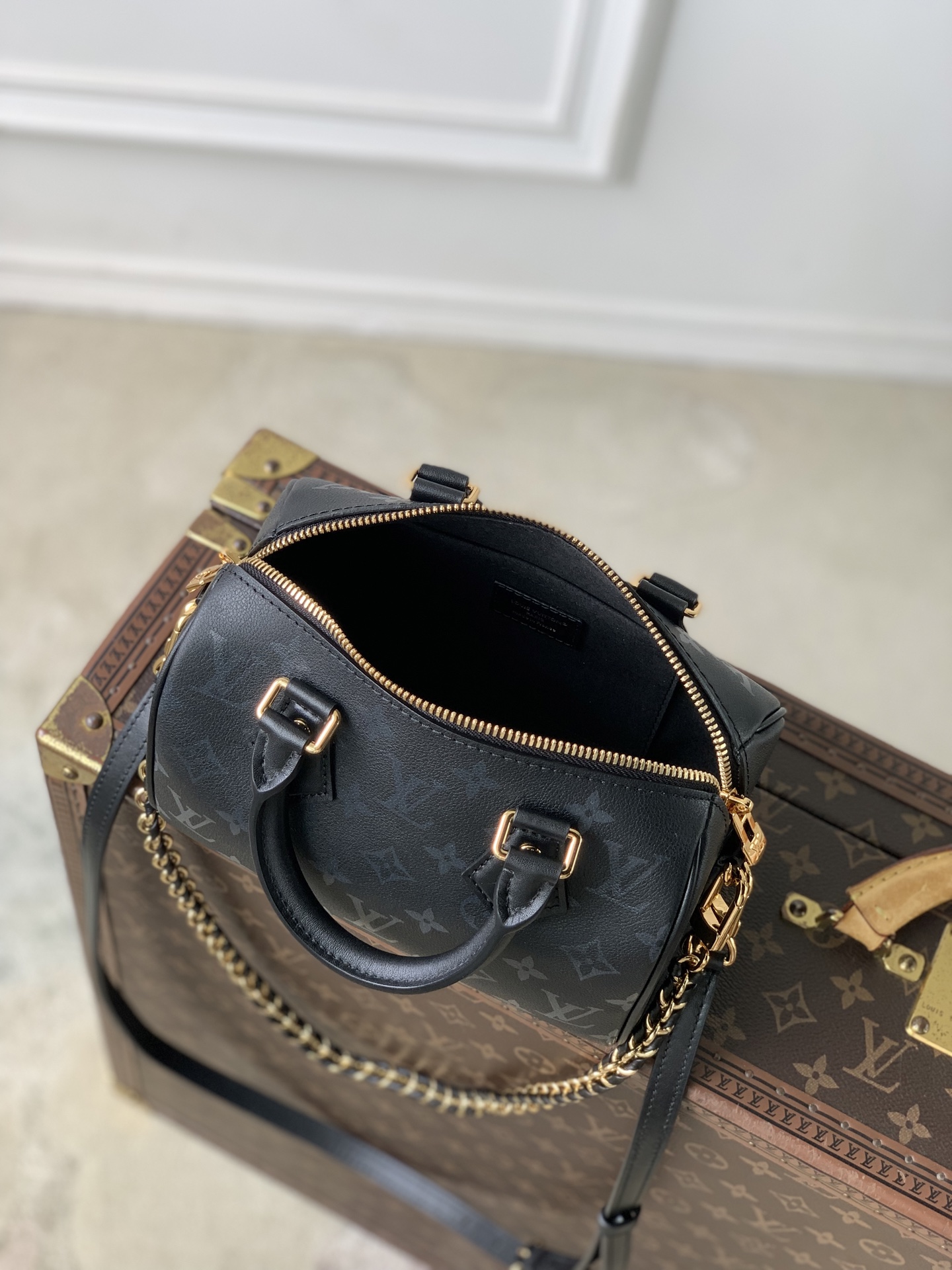 Louis Vuitton Speedy Bandoulière 20 LV 루이비통 스피디 반둘리에 가방