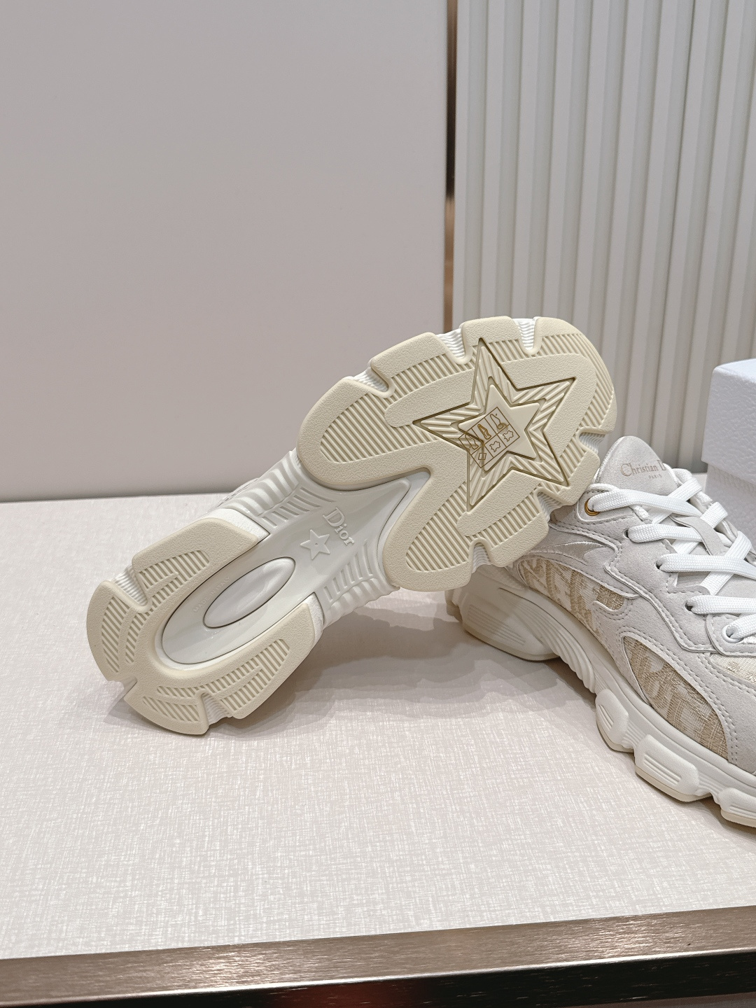 디올(DIOR) 크로노 스니커즈 신발