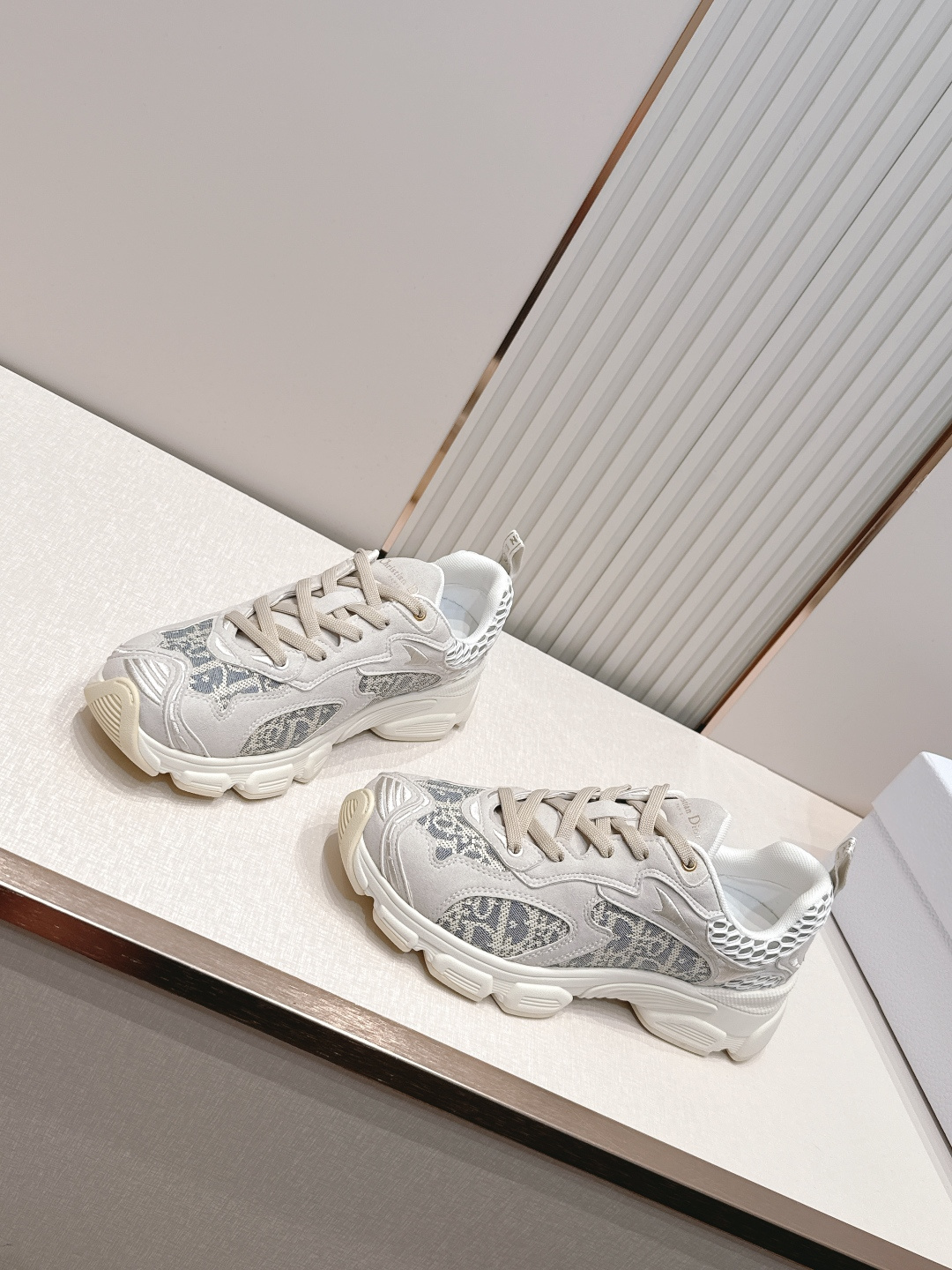 디올(DIOR) 크로노 스니커즈 신발
