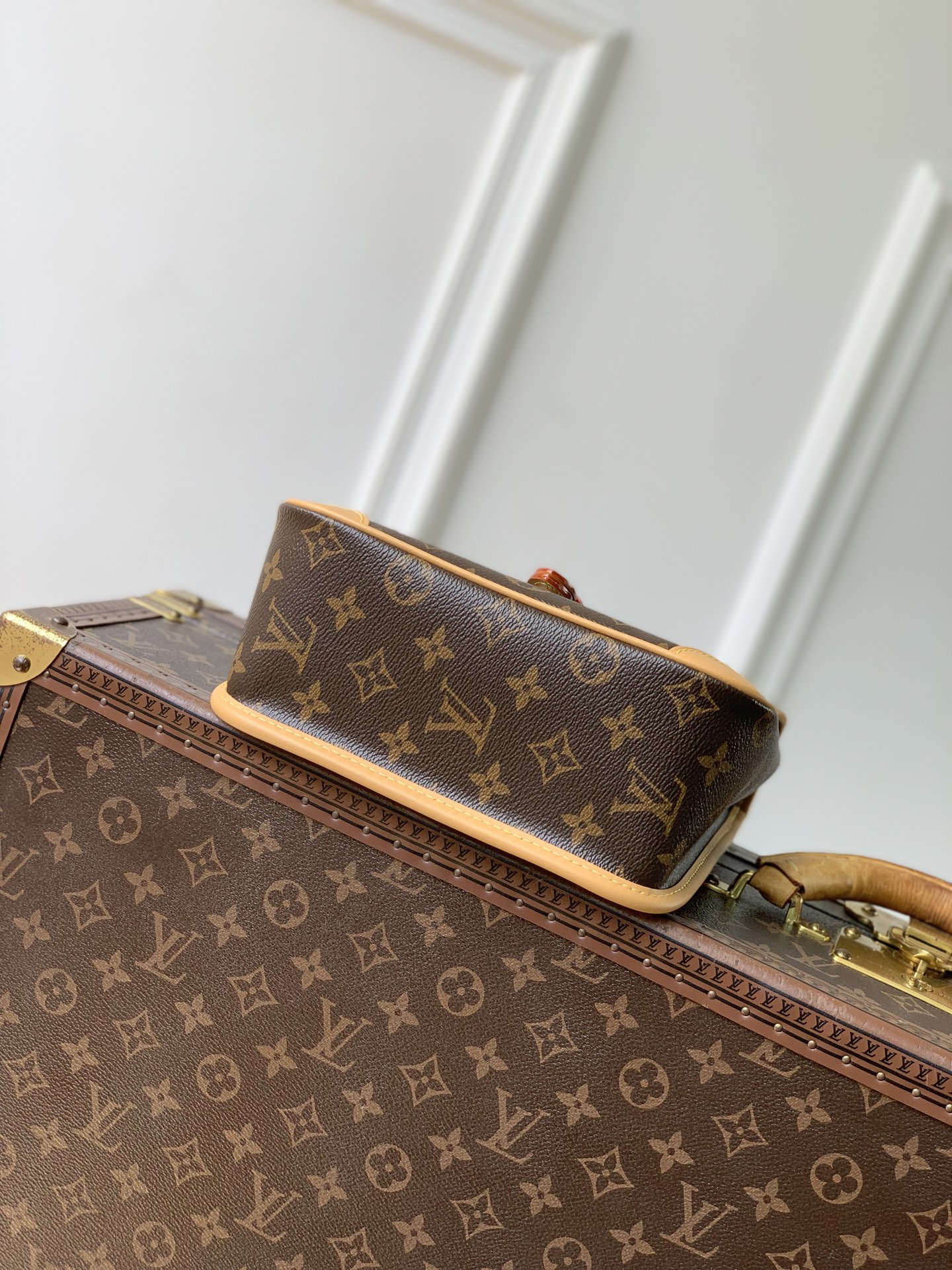Louis Vuitton Diane LV 루이비통 스몰 백팩 가방
