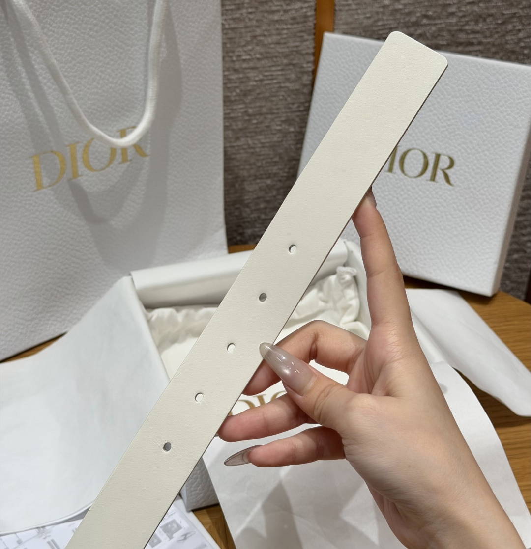 디올(DIOR) 리버서블 카프스킨 앤티크 핀 버클 벨트