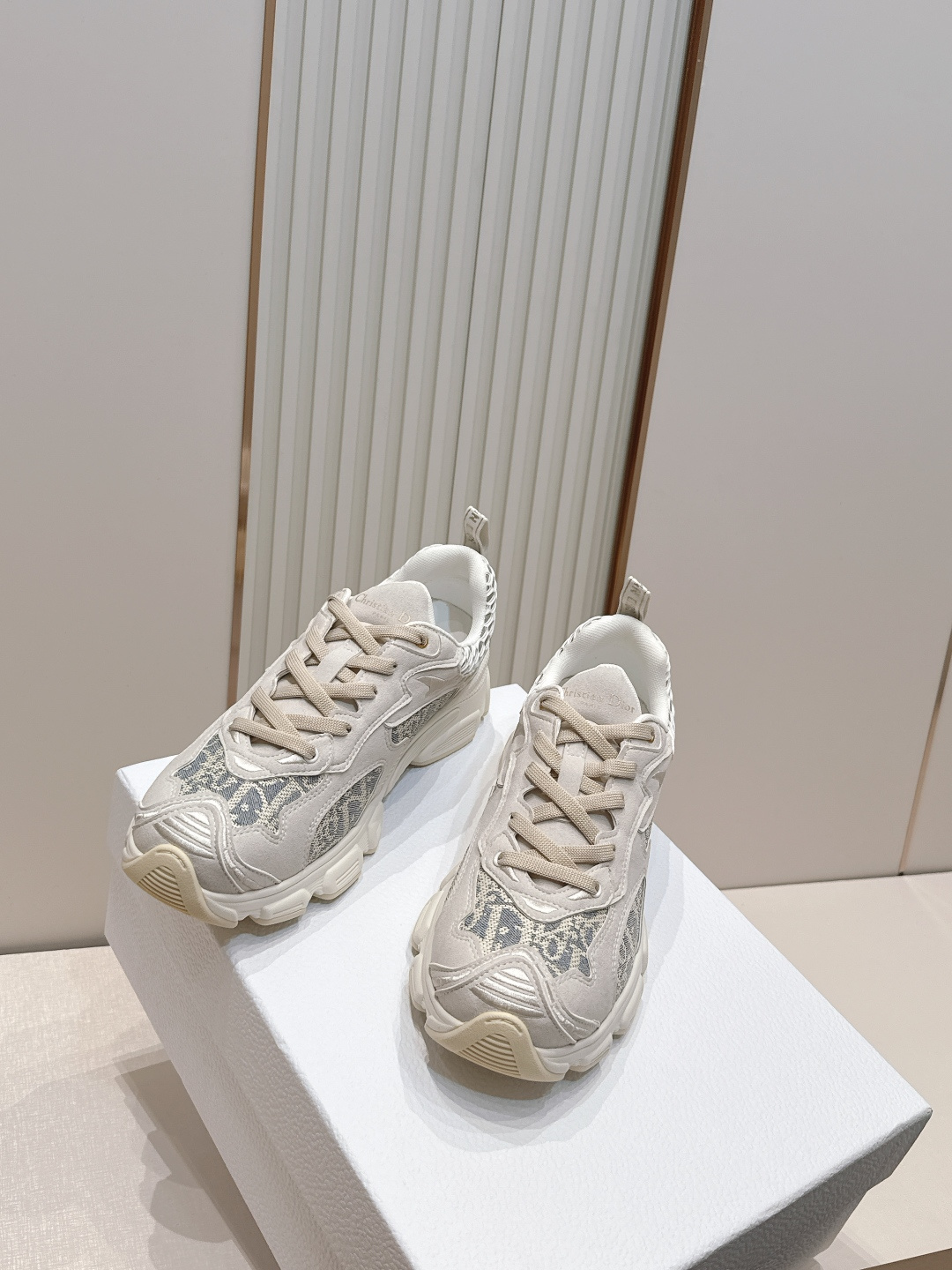 디올(DIOR) 크로노 스니커즈 신발