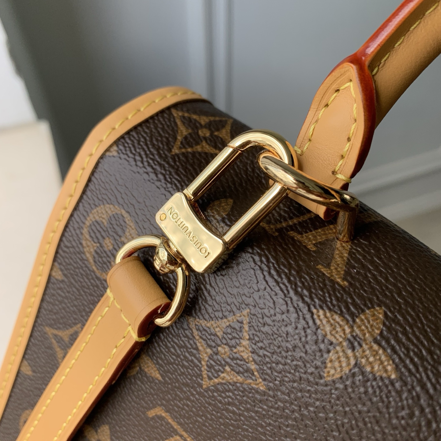 Louis Vuitton Diane LV 루이비통 스몰 백팩 가방