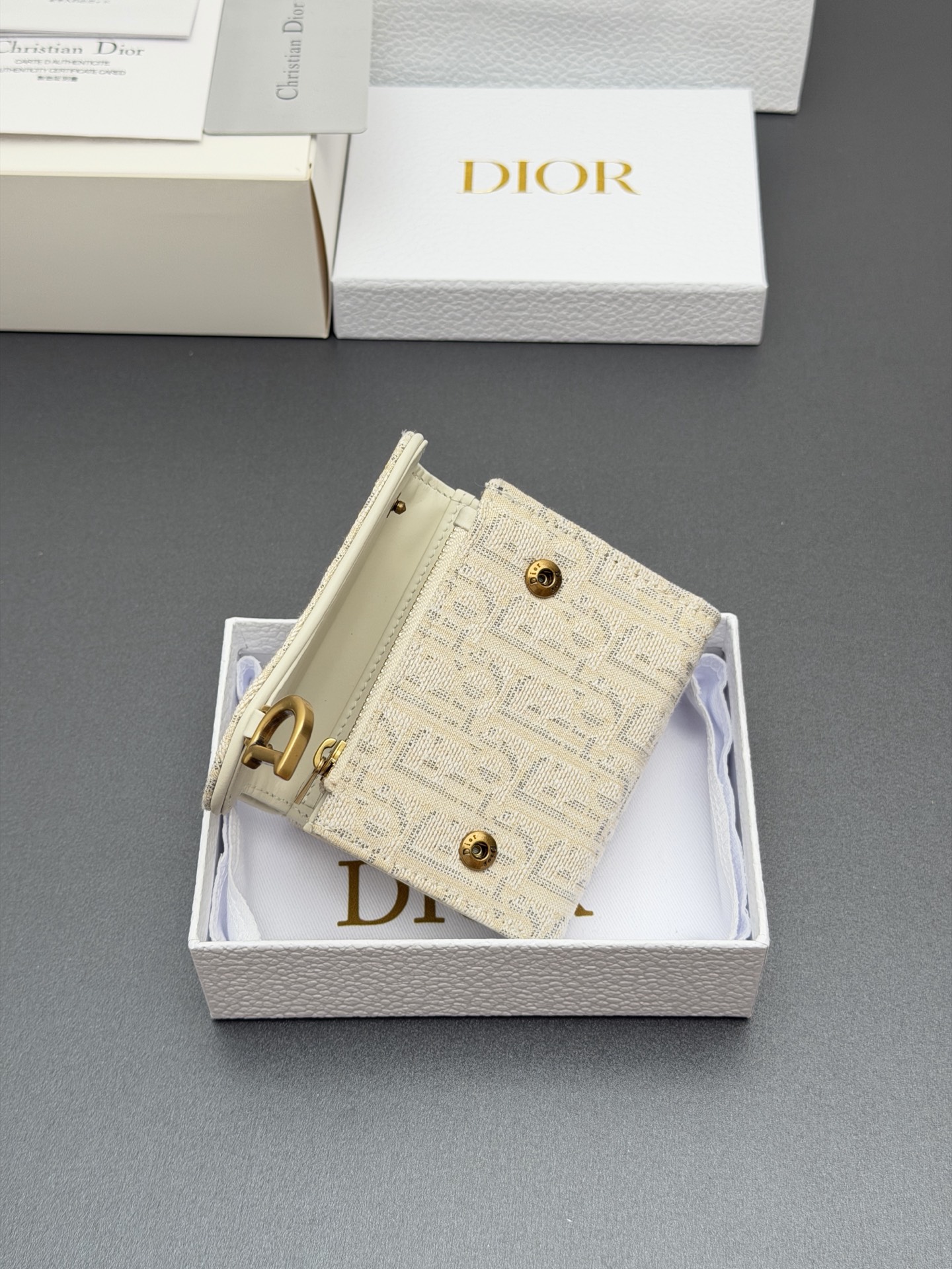 Dior 디올 Bloom 블룸 새들 월렛 지갑