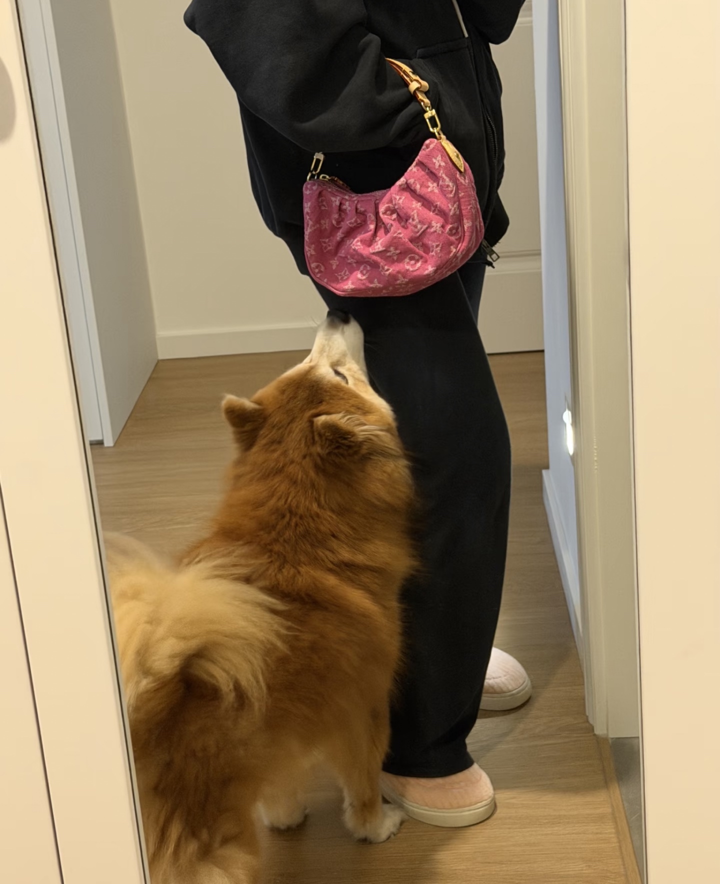 [Louis Vuitton] LV 루이비통 모노그램 데님 포쉐트 밸리 (로즈 핑크) 가방