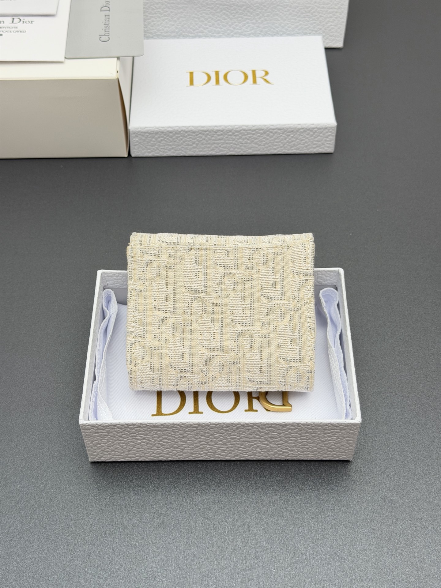 Dior 디올 Bloom 블룸 새들 월렛 지갑