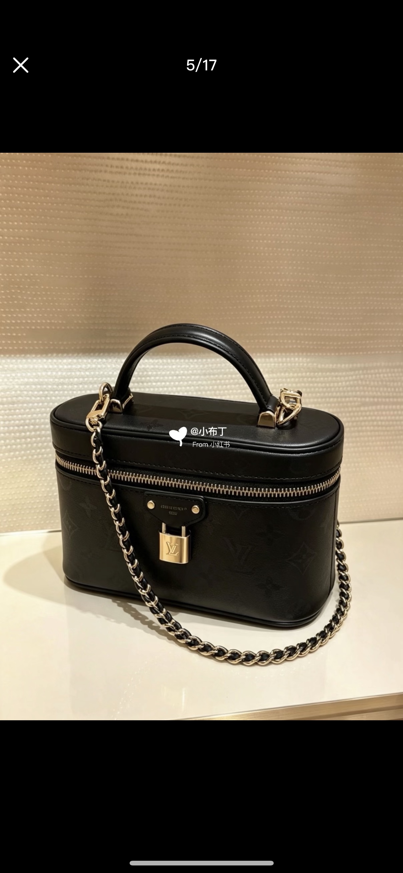 Louis Vuitton Vanity Chain Pouch LV 루이비통 가방