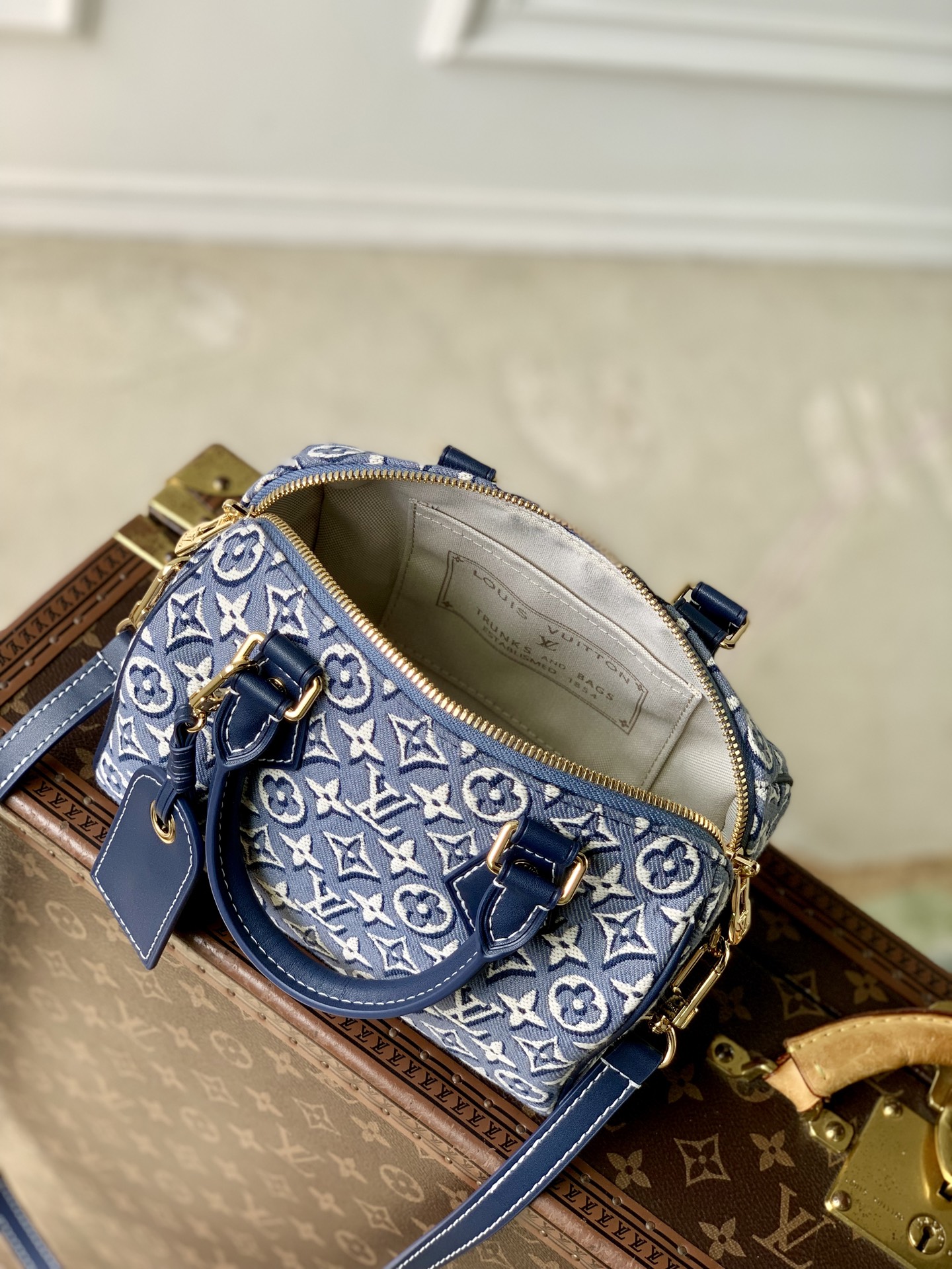 Louis Vuitton Speedy Bandoulière 20 LV 루이비통 스피디 반둘리에 가방
