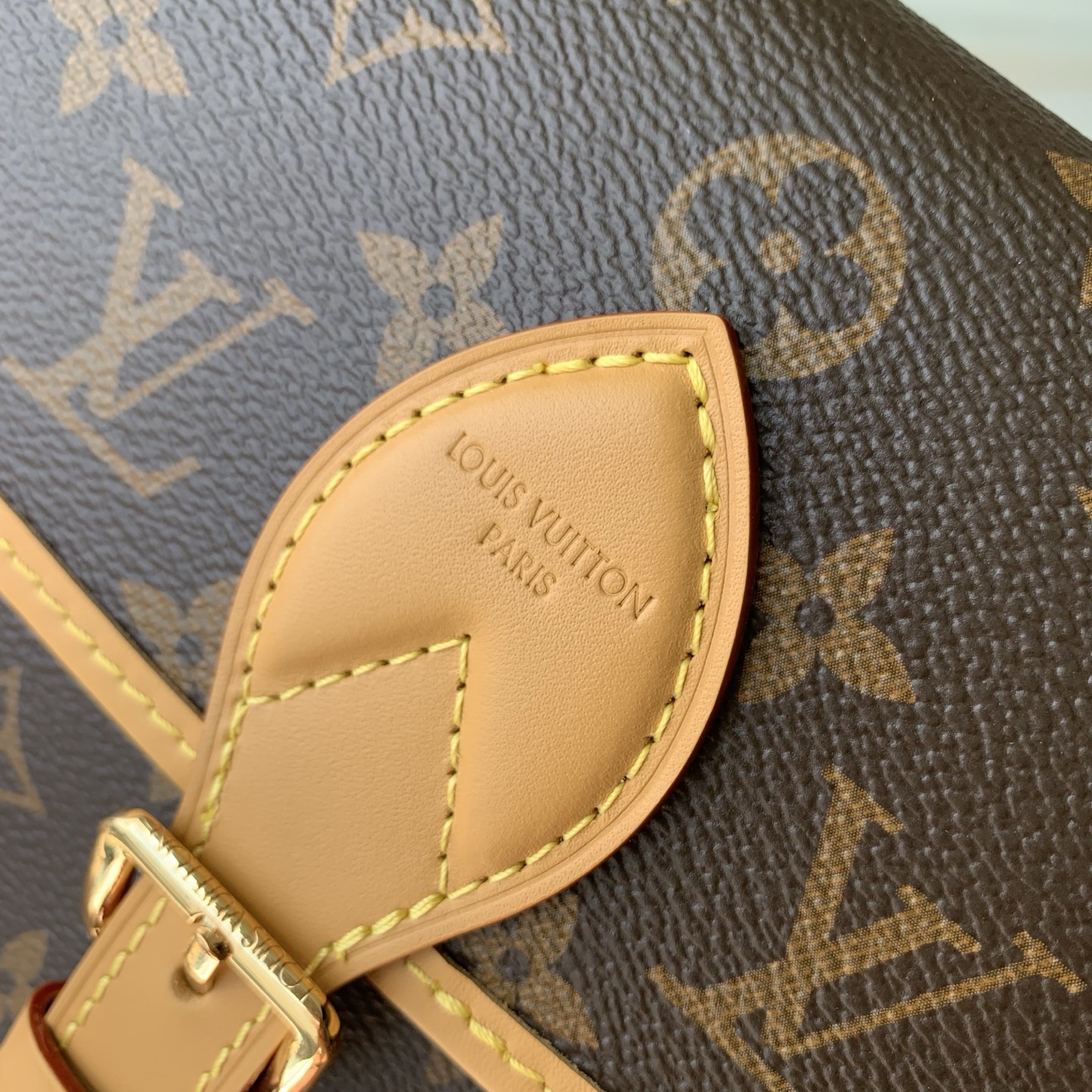 Louis Vuitton Diane LV 루이비통 스몰 백팩 가방