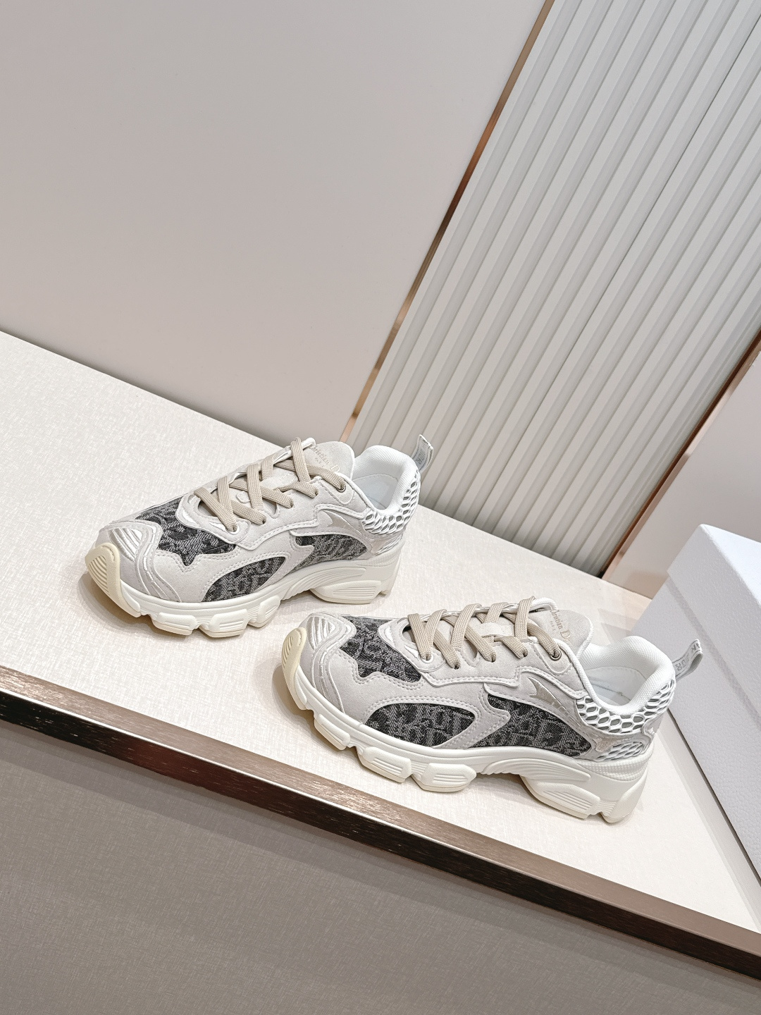 디올(DIOR) 크로노 스니커즈 신발