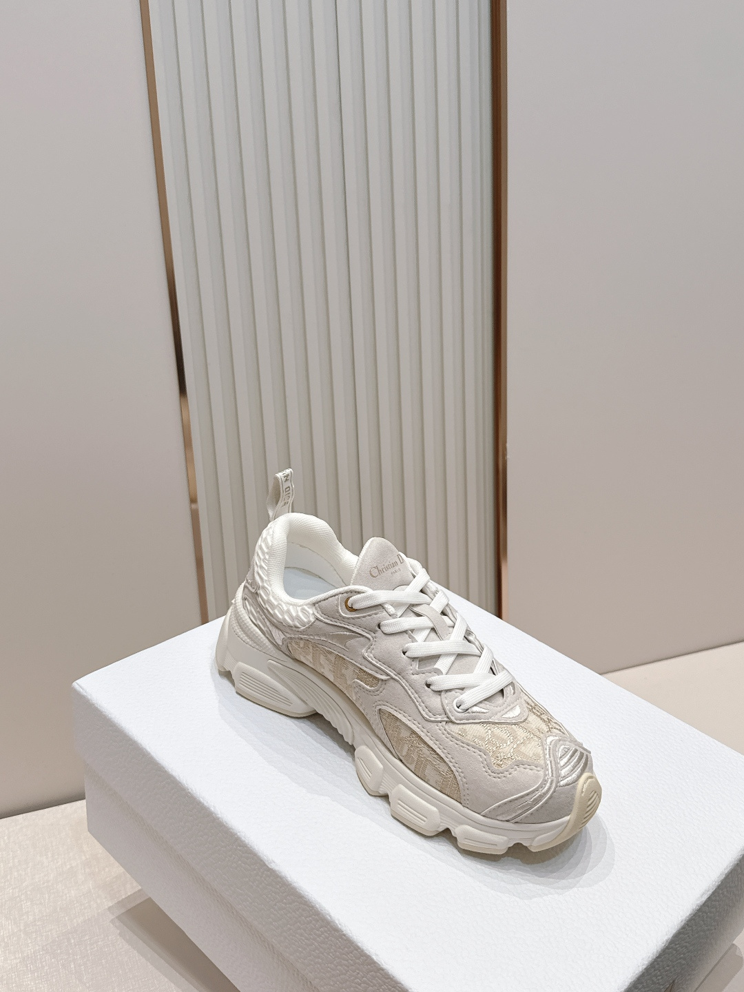 디올(DIOR) 크로노 스니커즈 신발