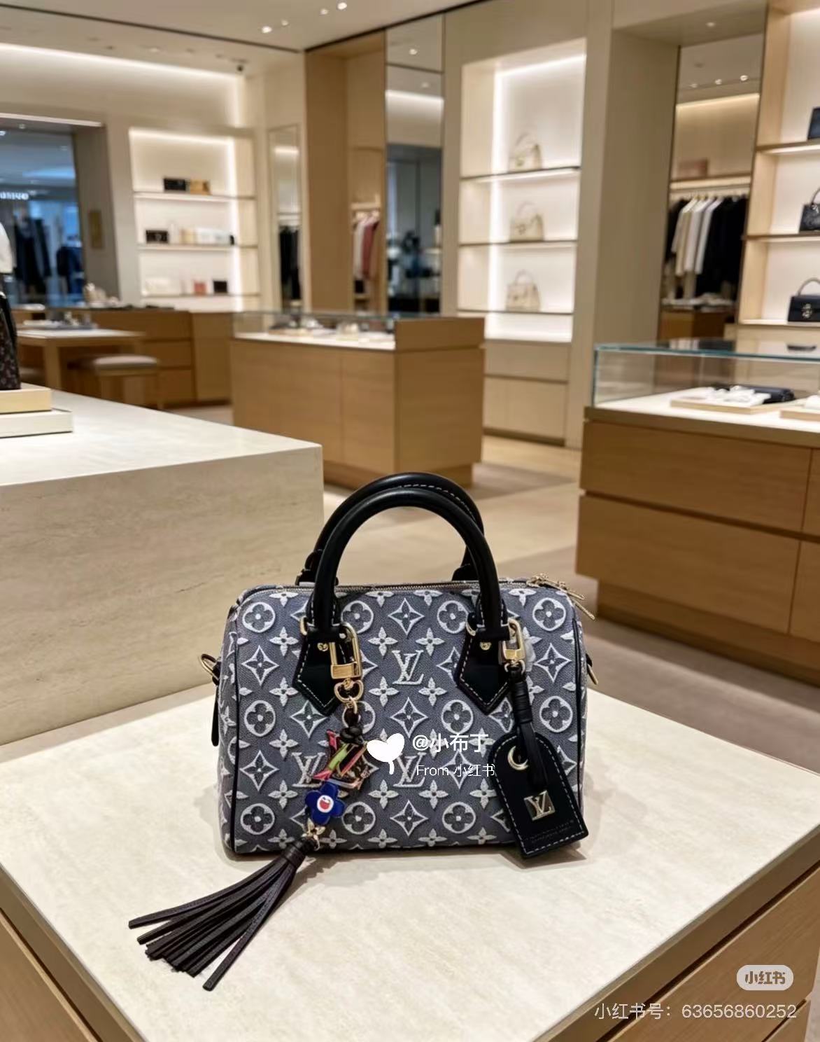 Louis Vuitton Speedy Bandoulière 20 LV 루이비통 스피디 반둘리에 가방
