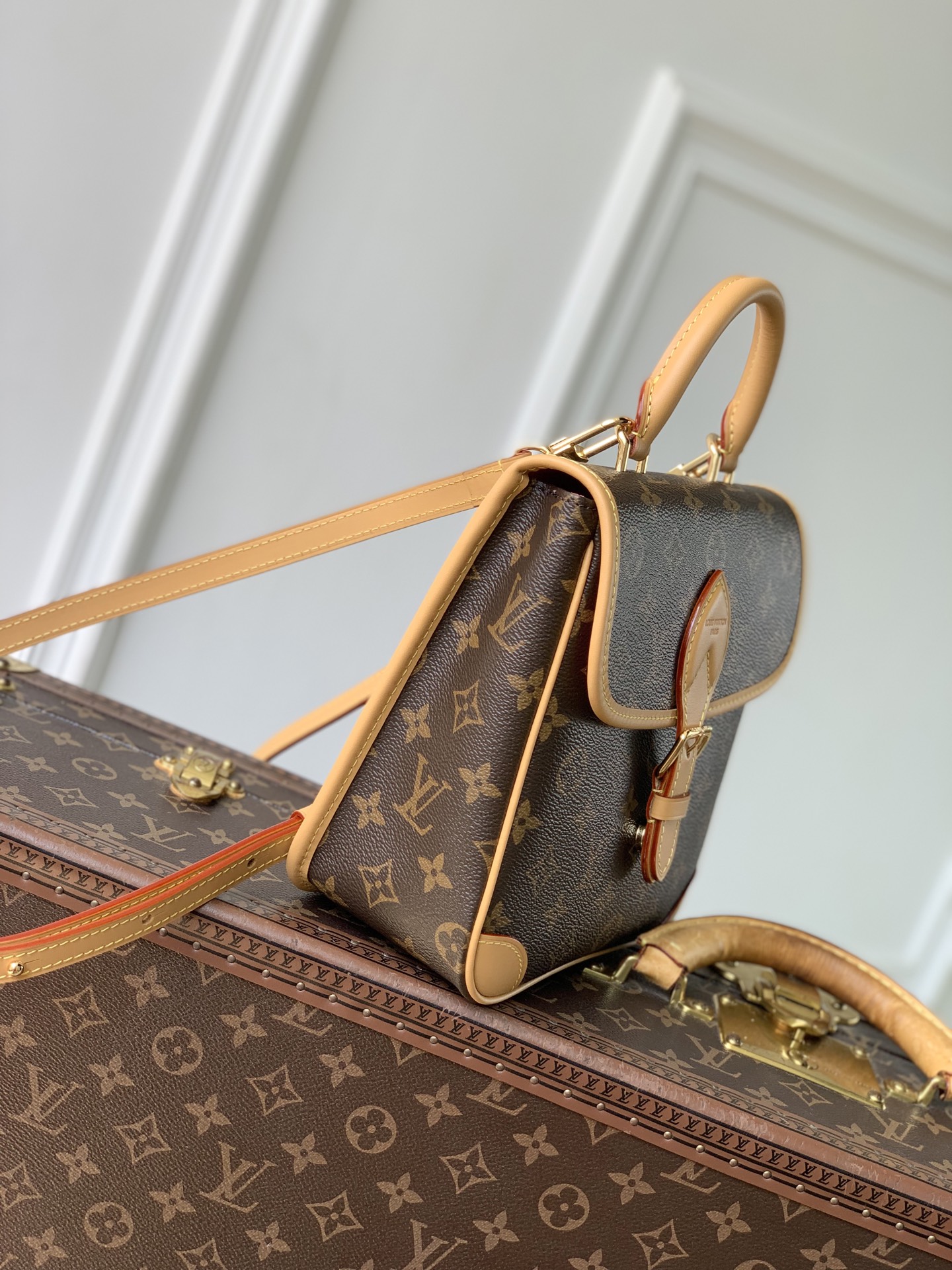 Louis Vuitton Diane LV 루이비통 스몰 백팩 가방