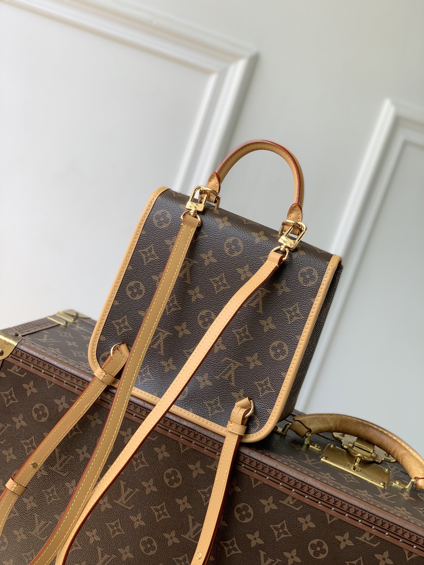 Louis Vuitton Diane LV 루이비통 스몰 백팩 가방