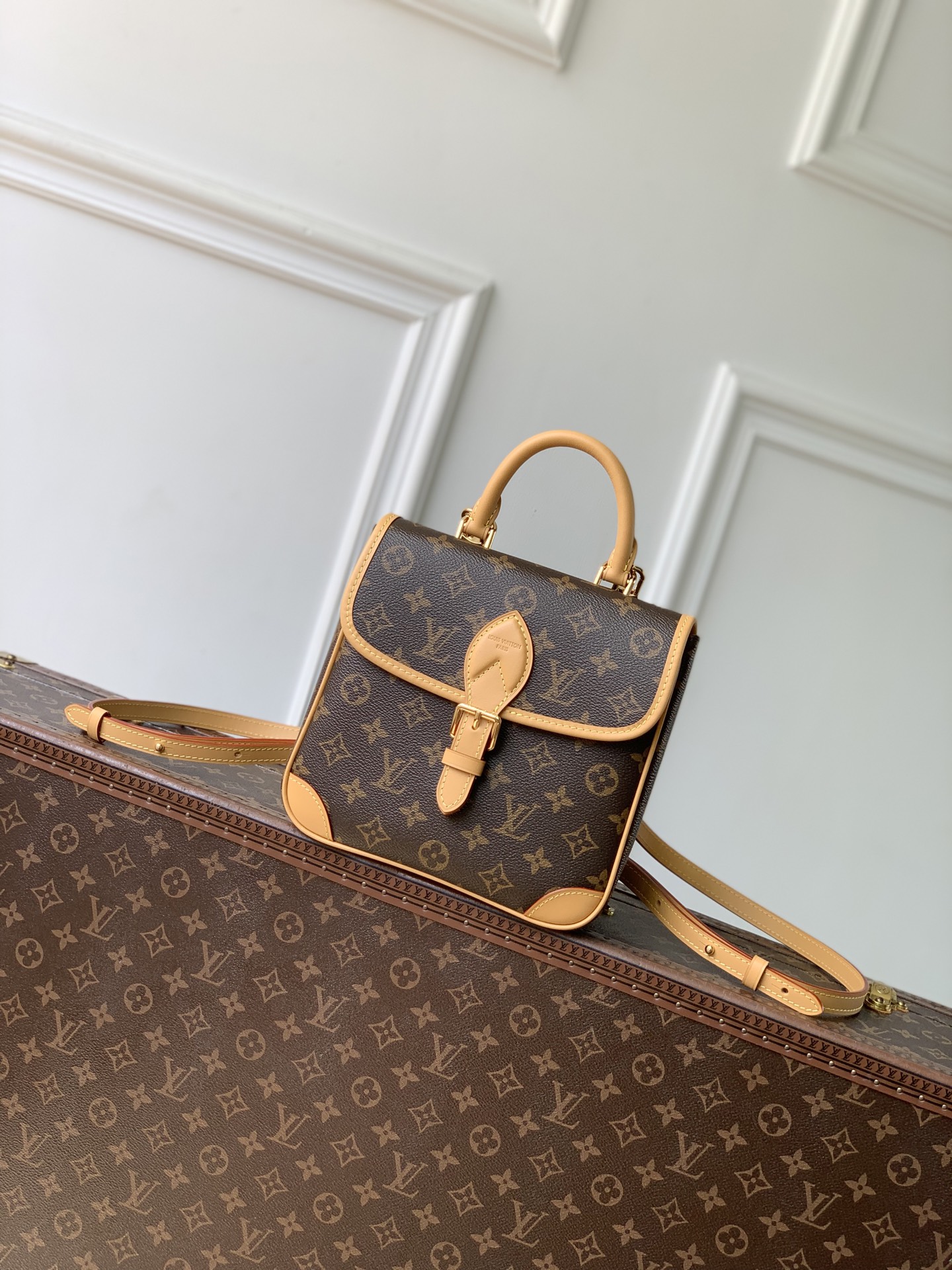 Louis Vuitton Diane LV 루이비통 스몰 백팩 가방