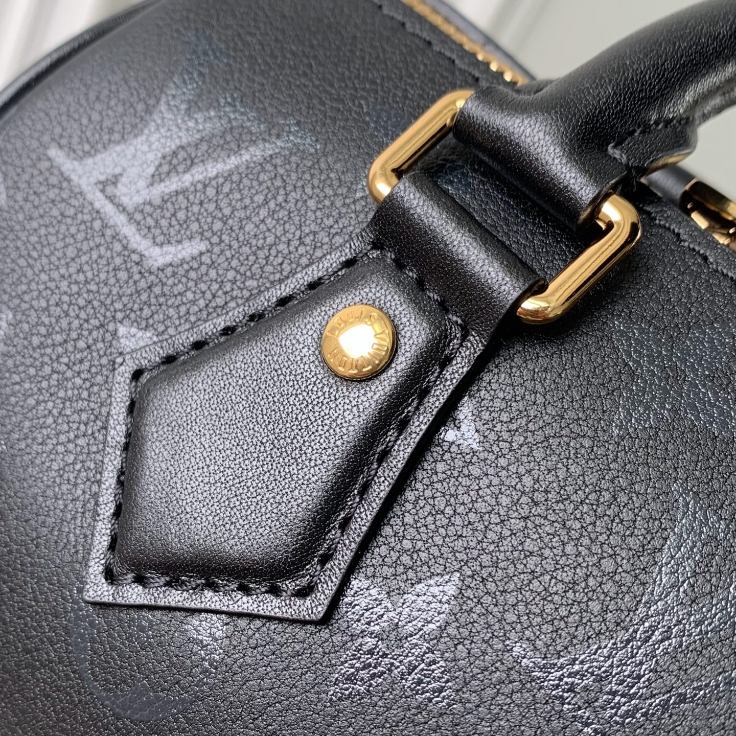Louis Vuitton Speedy Bandoulière 20 LV 루이비통 스피디 반둘리에 가방