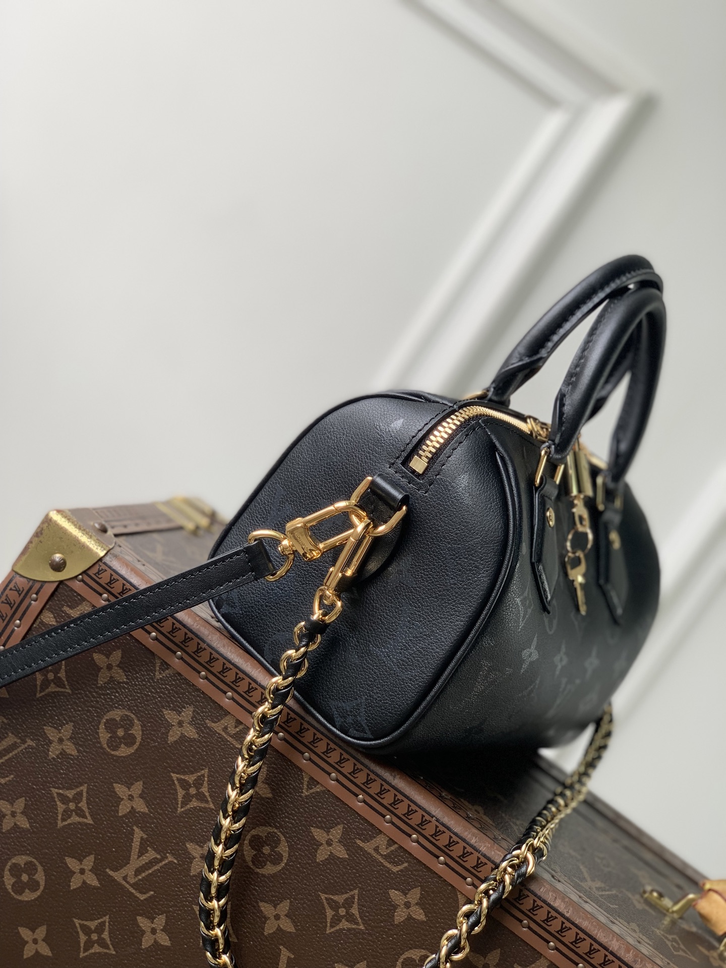 Louis Vuitton Speedy Bandoulière 20 LV 루이비통 스피디 반둘리에 가방