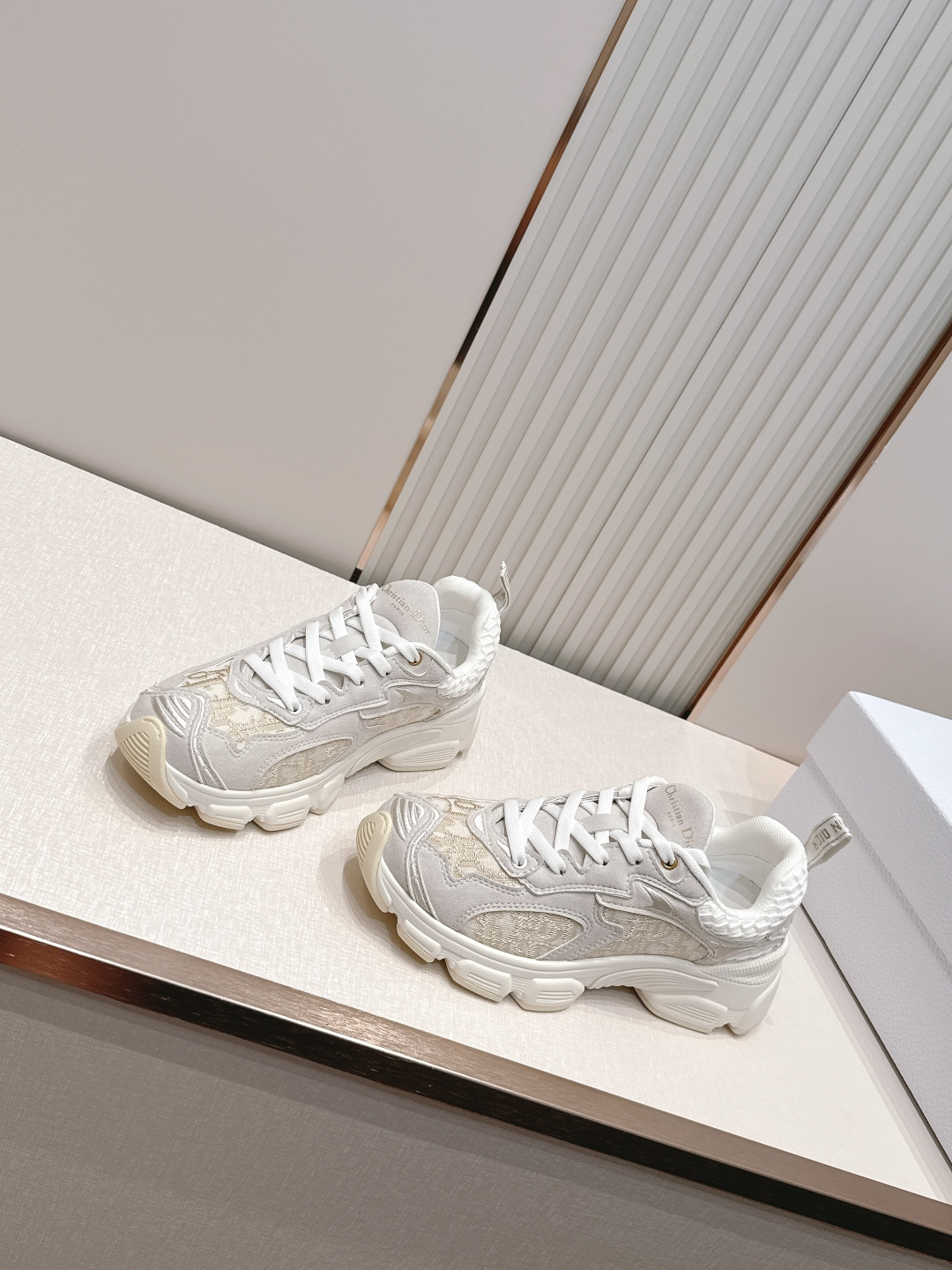 디올(DIOR) 크로노 스니커즈 신발