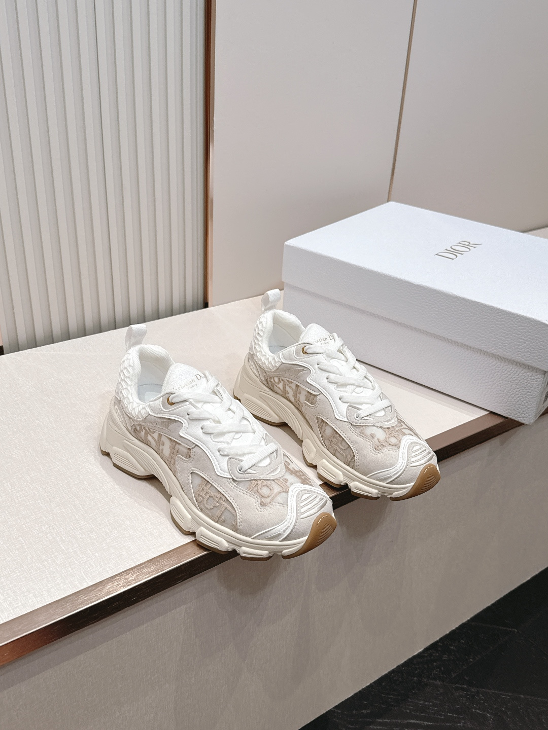 디올(DIOR) 크로노 스니커즈 신발
