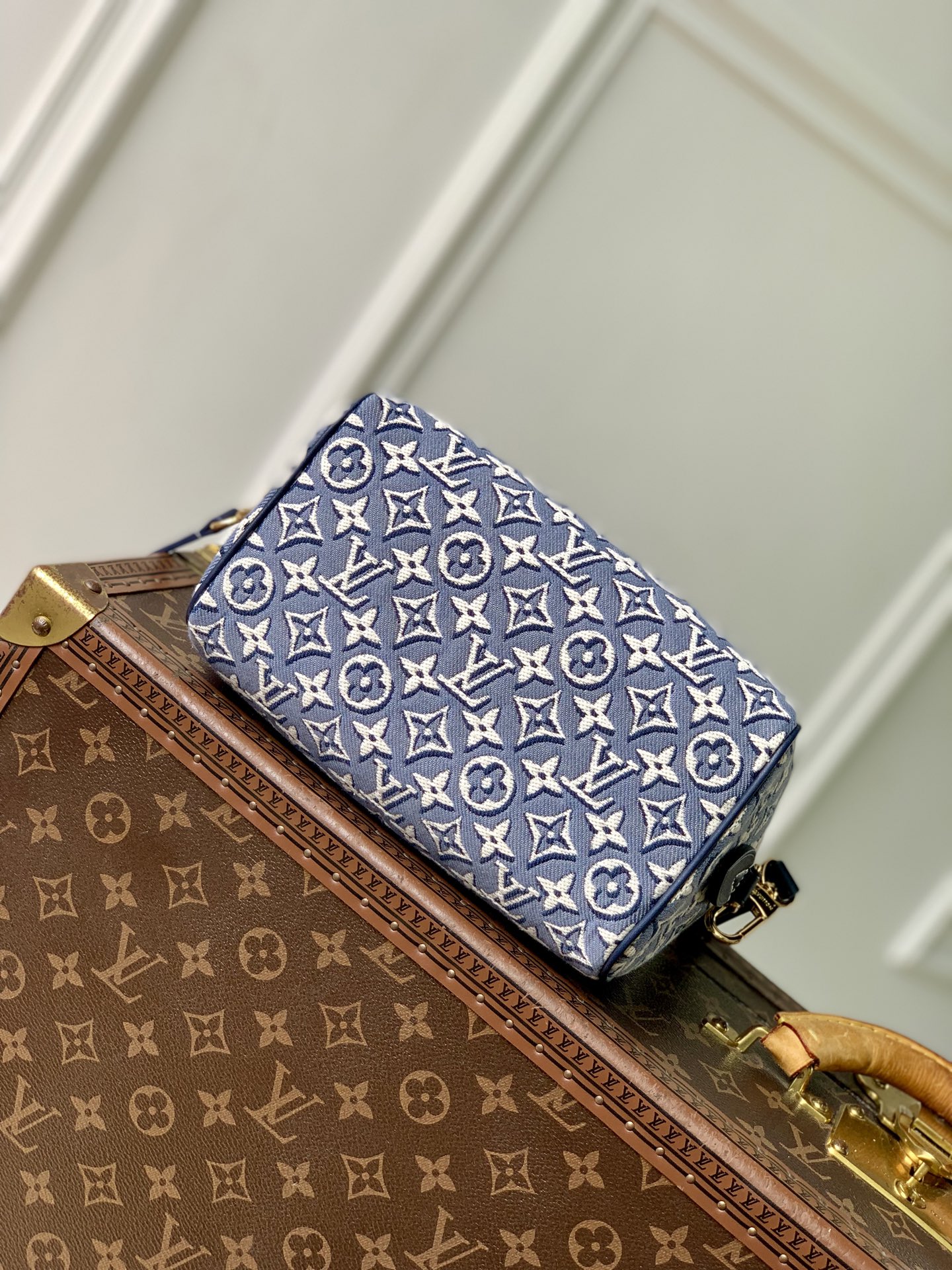 Louis Vuitton Speedy Bandoulière 20 LV 루이비통 스피디 반둘리에 가방