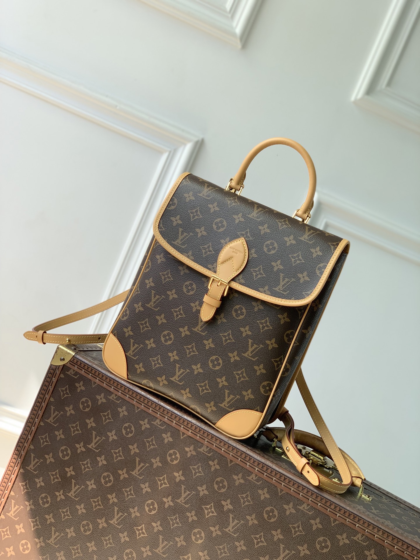 Louis Vuitton Back to School Diane LV 루이비통 백팩 가방