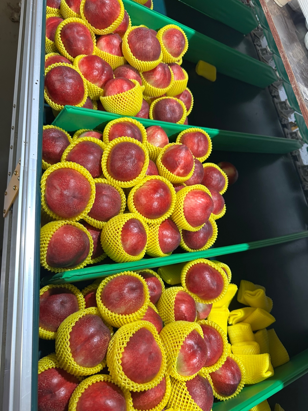 신미 복숭아