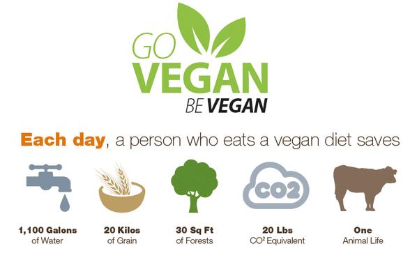 ba090125cd2a4c4e96ee96ab51991a35.jpg
