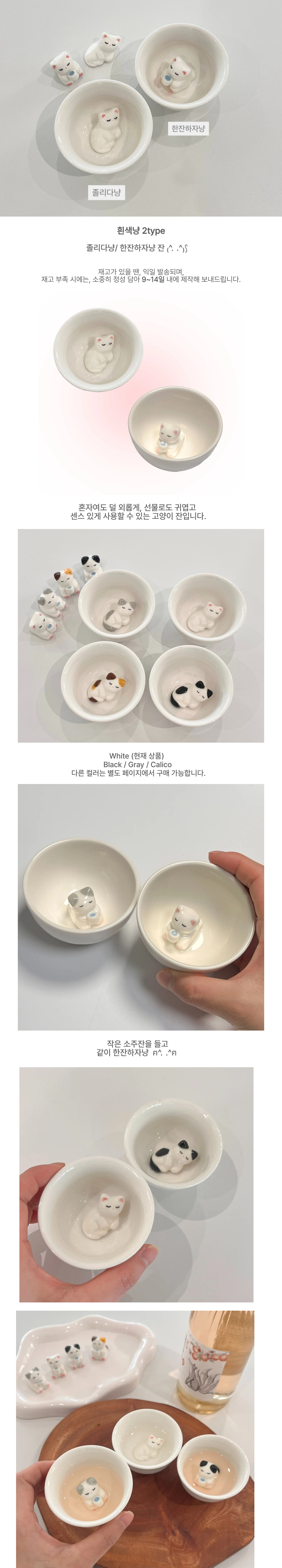 흰색냥 2type