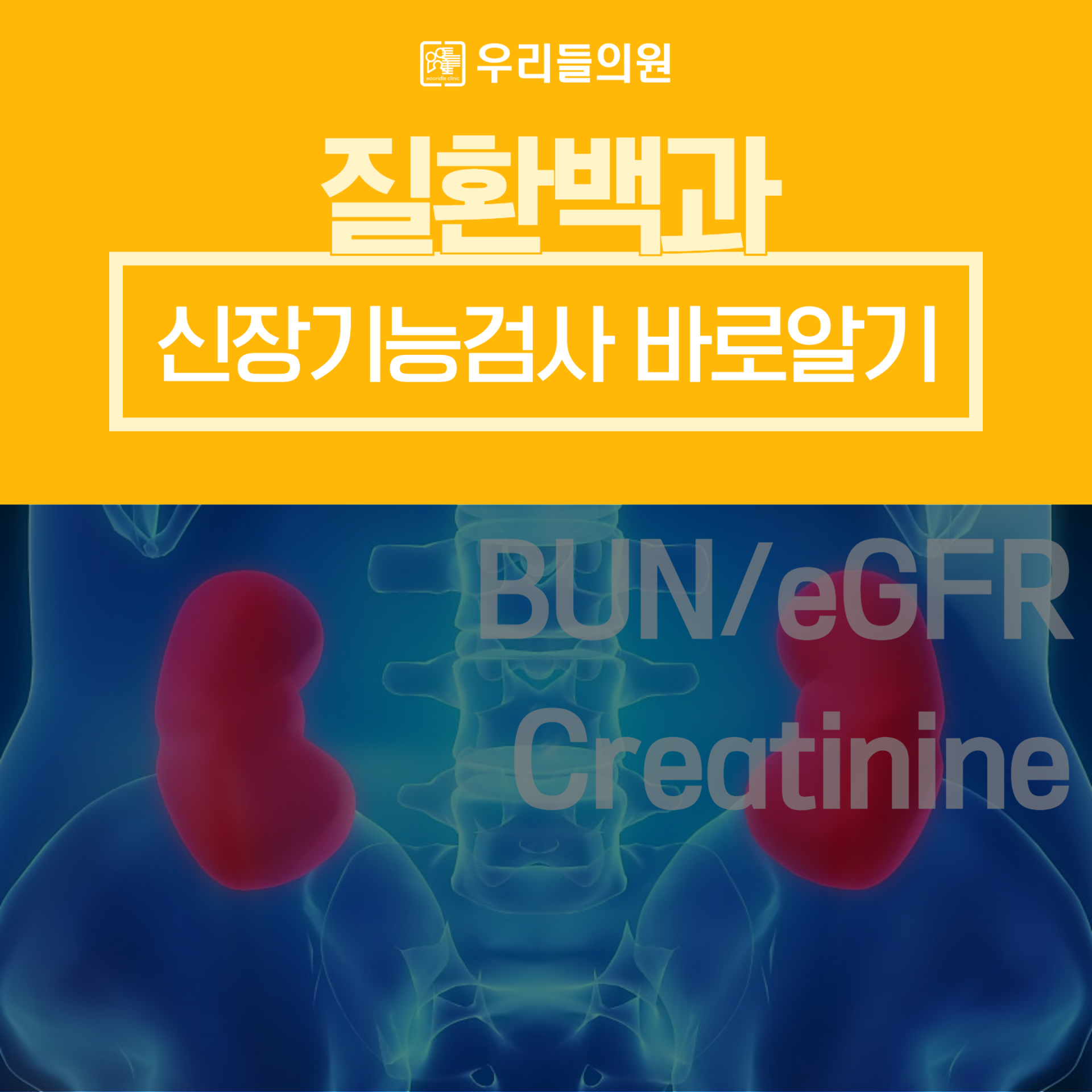 신장기능검사