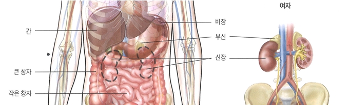 F20210414053753.jpg F20210414053753.jpg