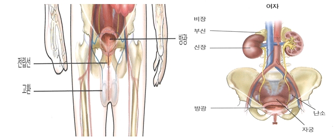 F20210414053510.jpg F20210414053510.jpg