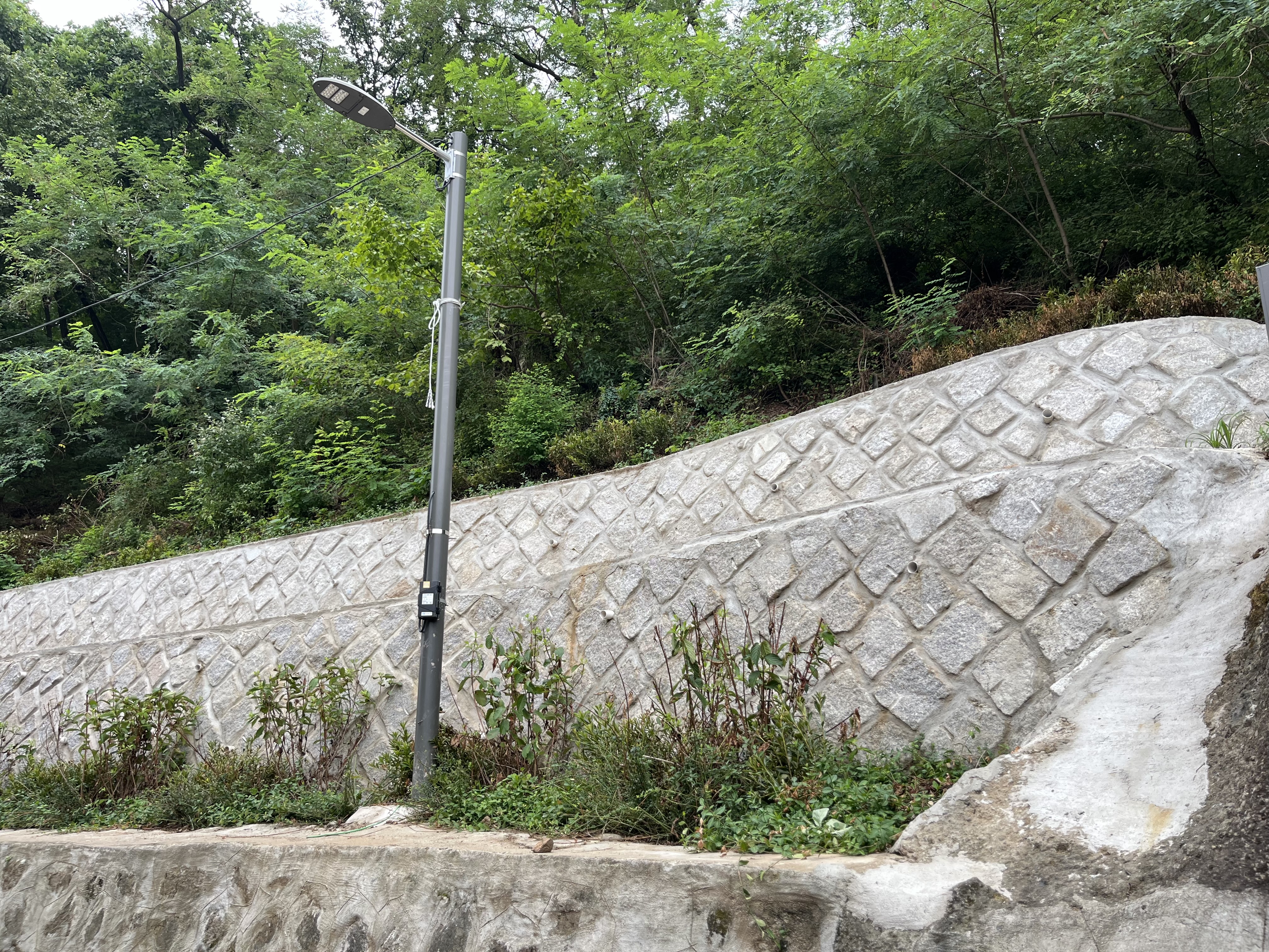 1c30d77d63174.jpg