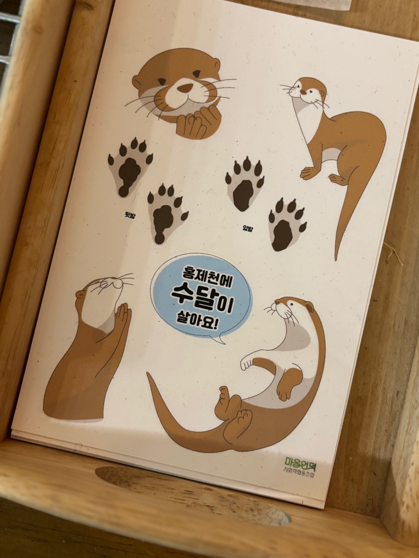 a60d7928bf9f1.jpg