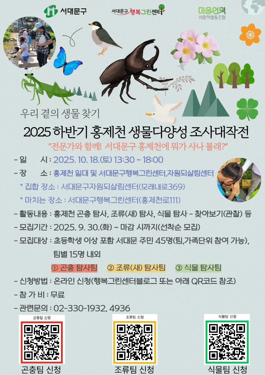 d211c2eebf2d6.png