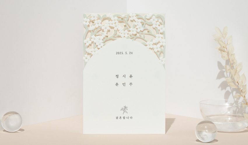 32f6eedab642d.jpg