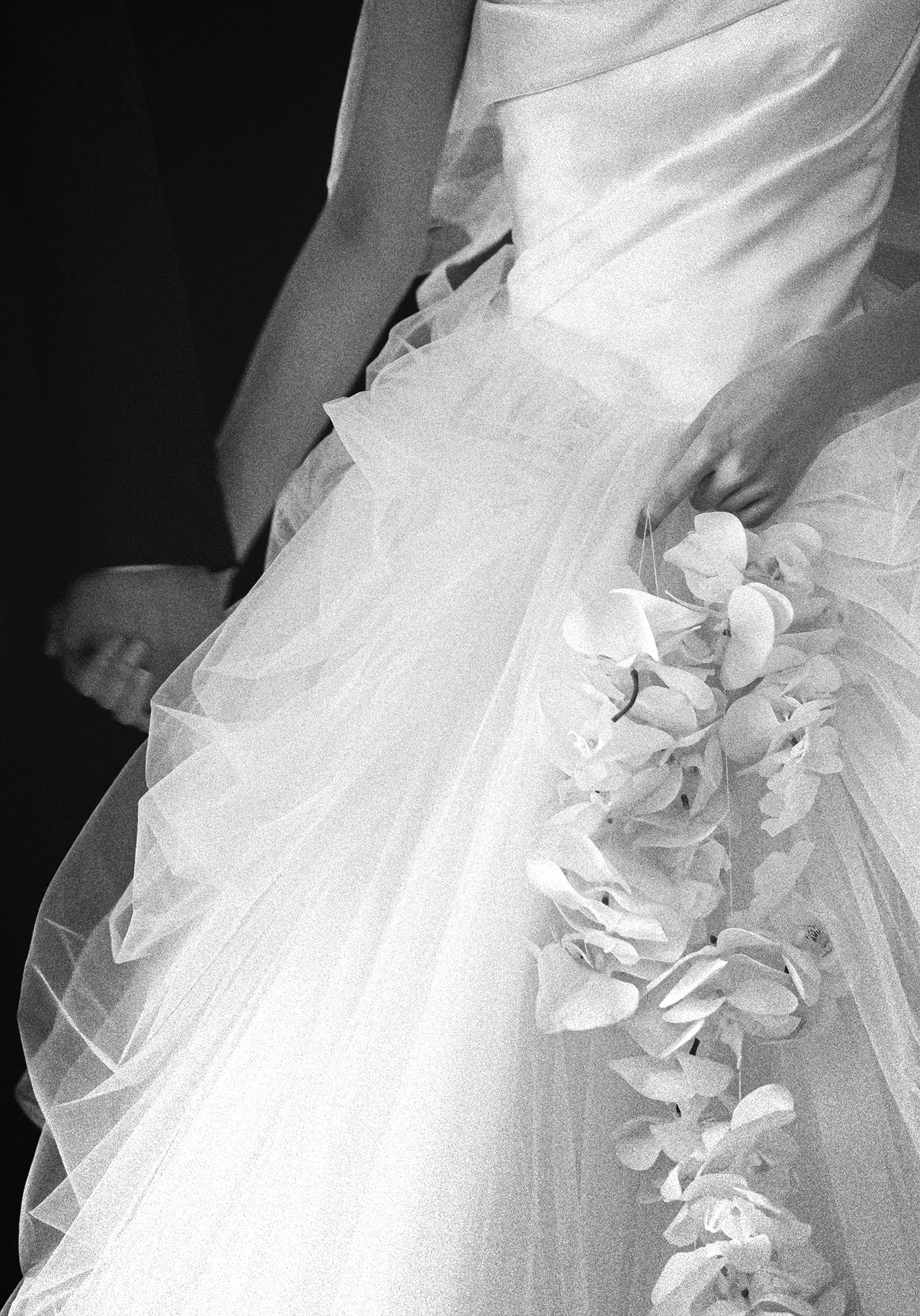 d5d21740a02f0.jpg