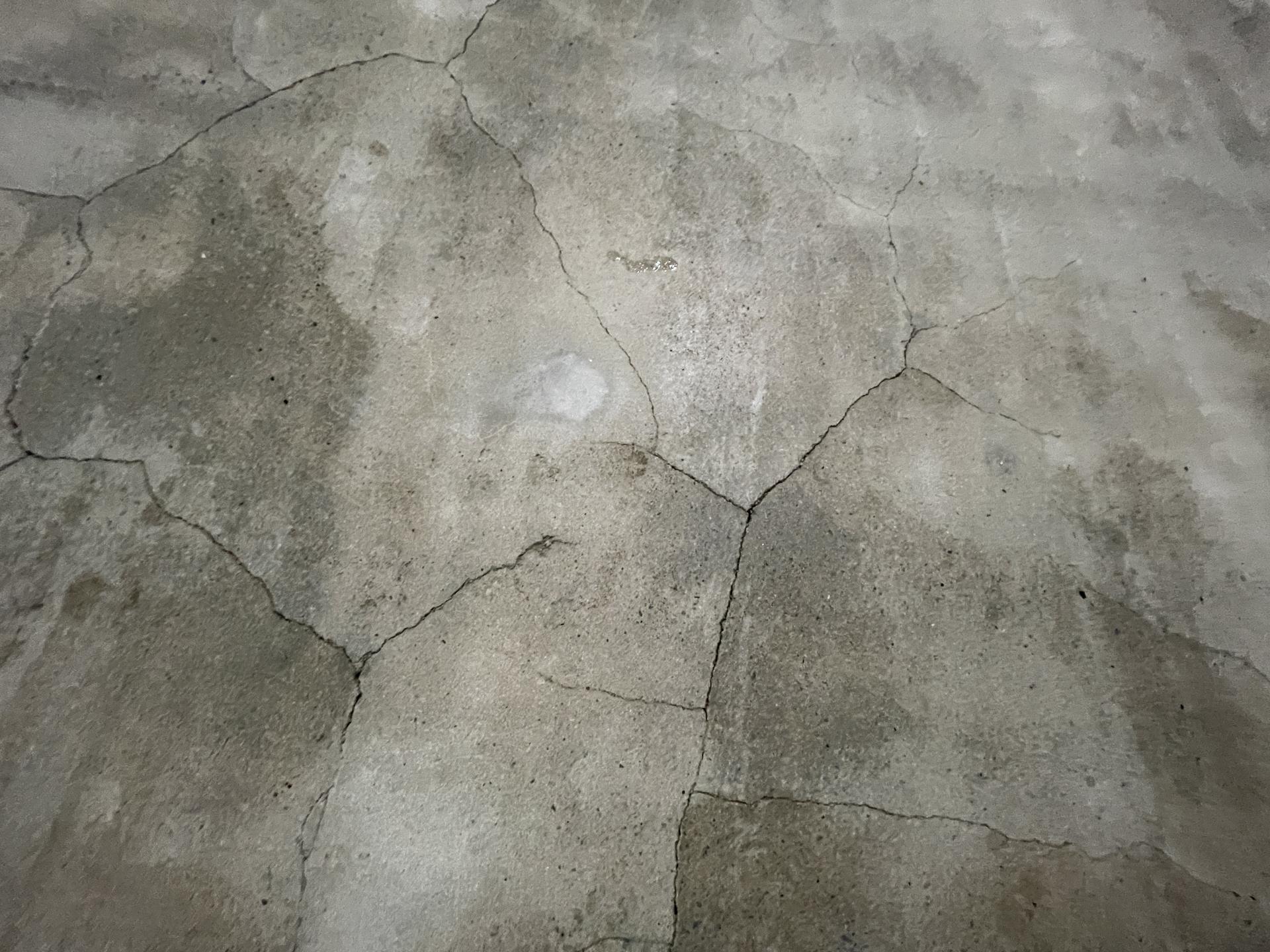 278706b2c542a.jpg