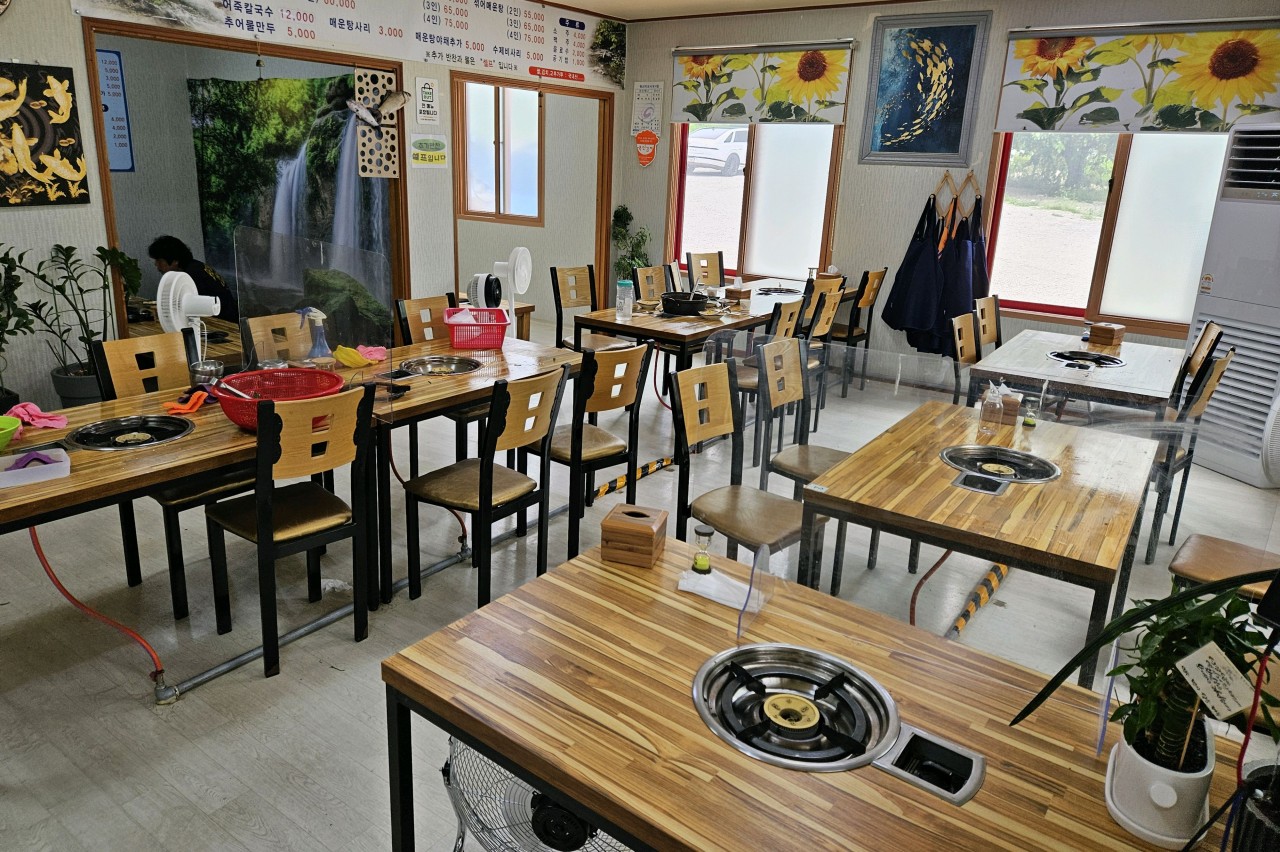 4849bfa227645.jpg