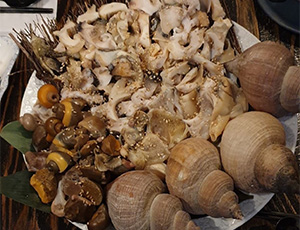 d7d08b0f6b853.jpg