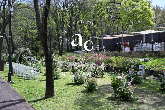 d06dac41fe07b.png
