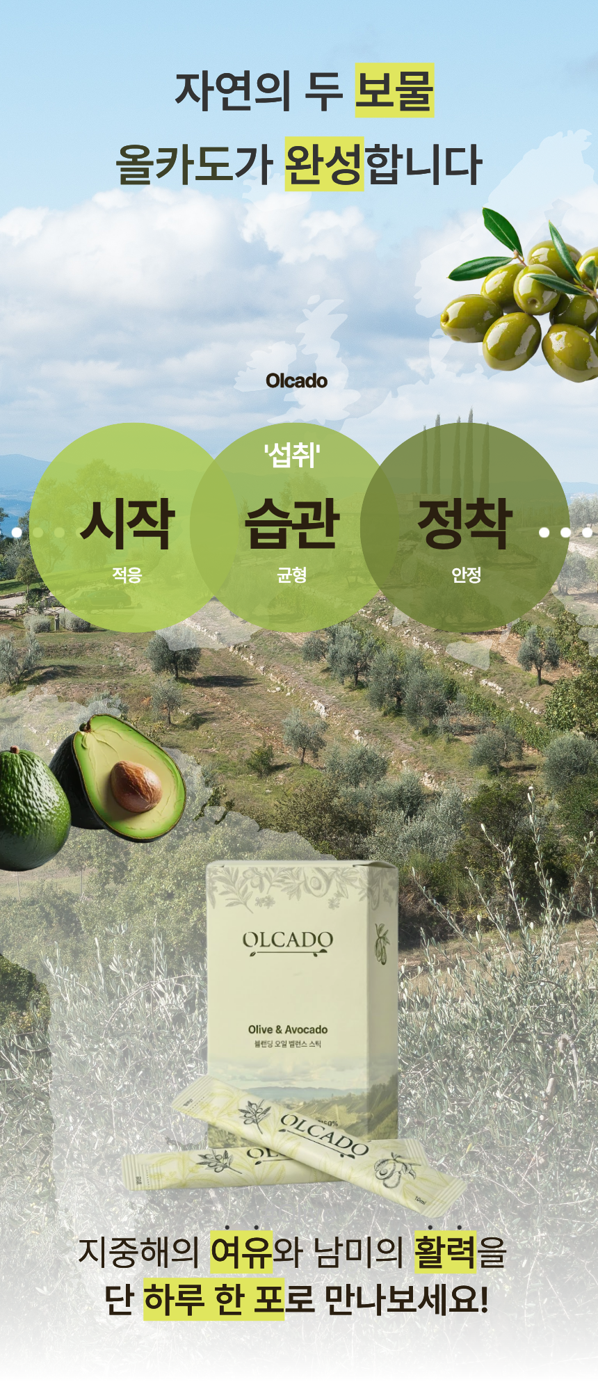 [한정수량 최대할인] 올카도 블렌딩 오일 밸런스 스틱 12box (6개월) 올리카도오일