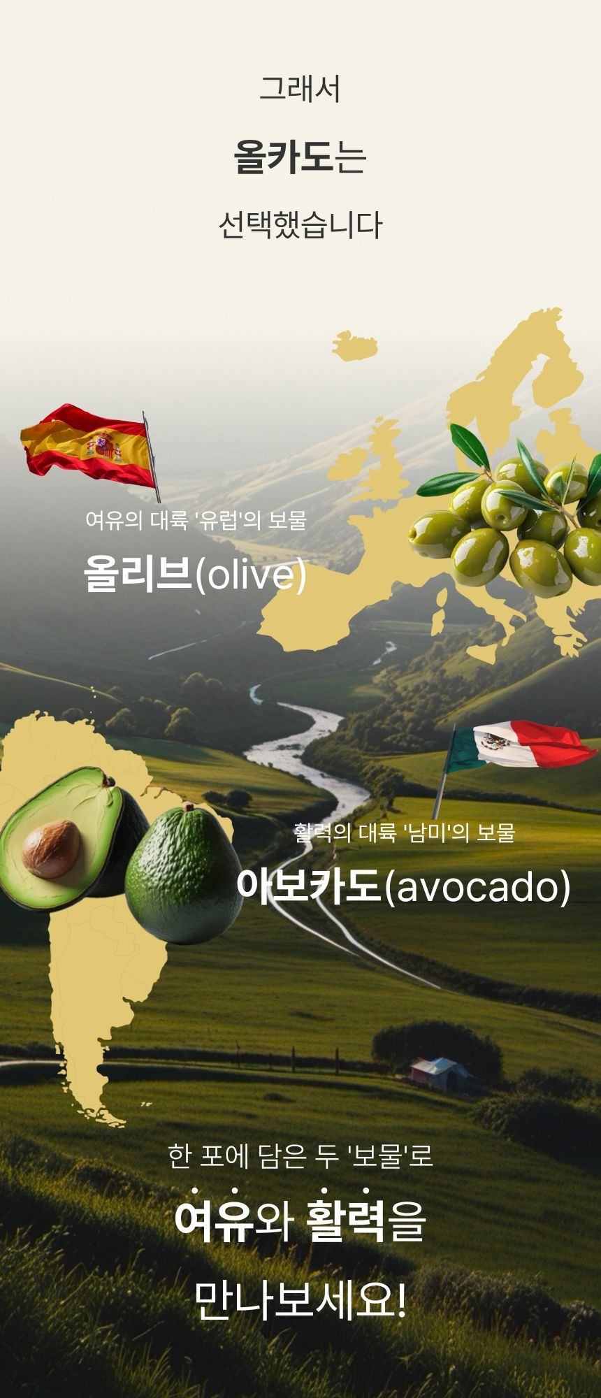 [한정수량 최대할인] 올카도 블렌딩 오일 밸런스 스틱 12box (6개월) 올리카도오일