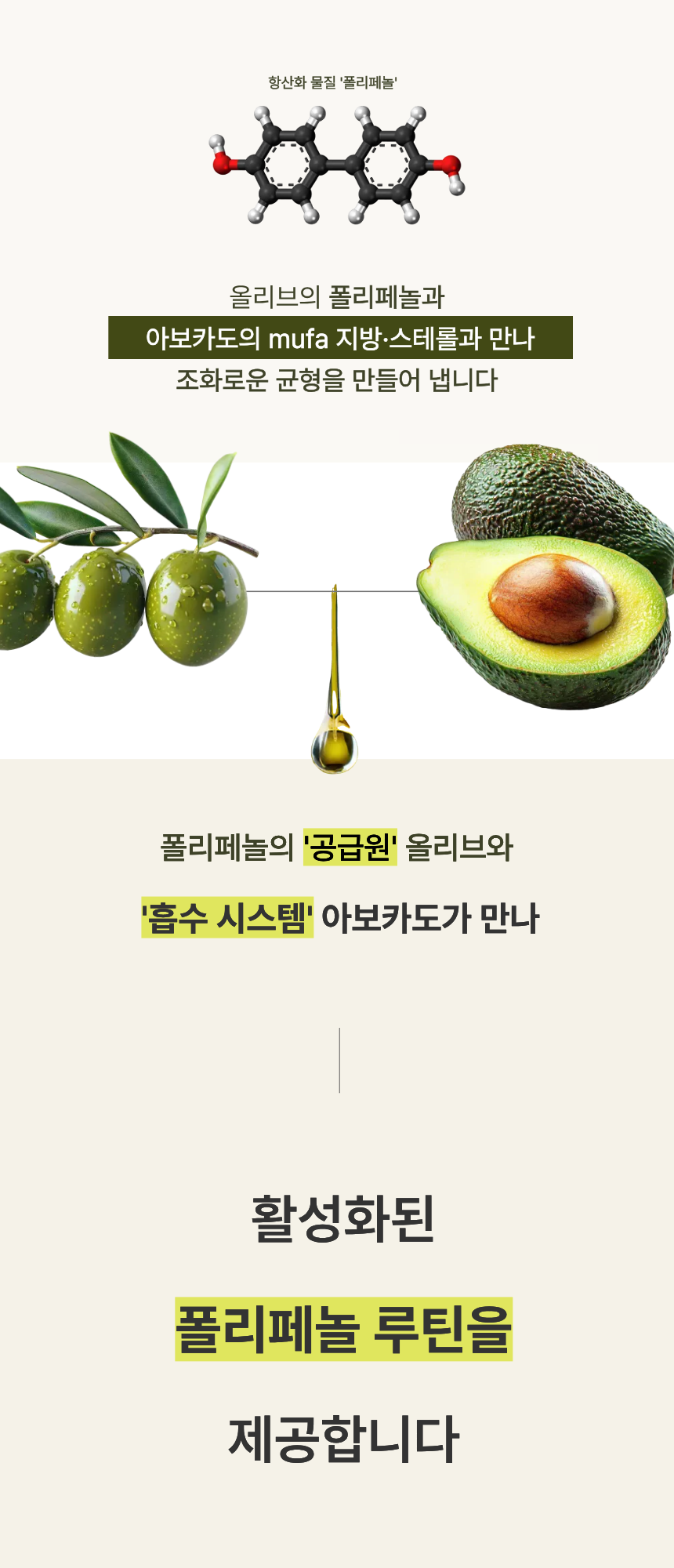 [한정수량 최대할인] 올카도 블렌딩 오일 밸런스 스틱 12box (6개월) 올리카도오일