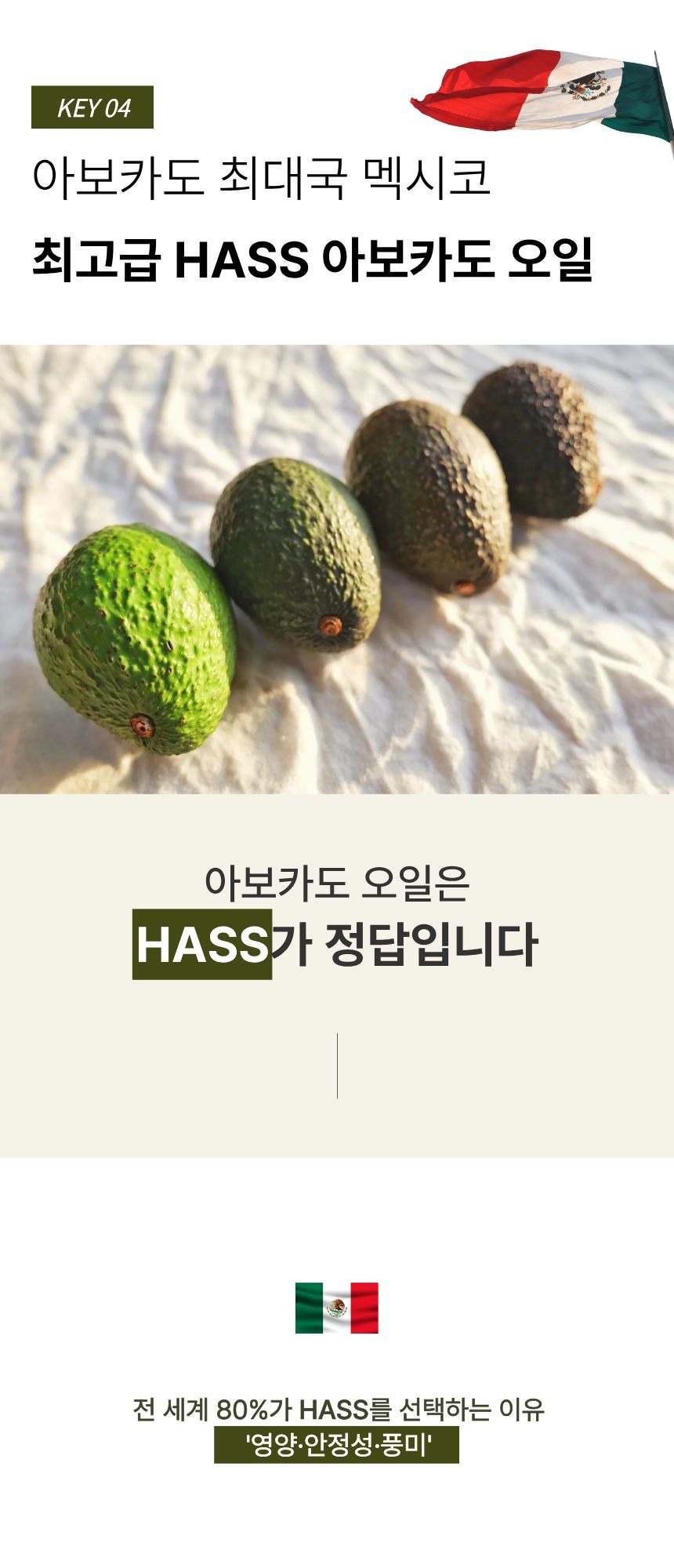 [한정수량 최대할인] 올카도 블렌딩 오일 밸런스 스틱 12box (6개월) 올리카도오일