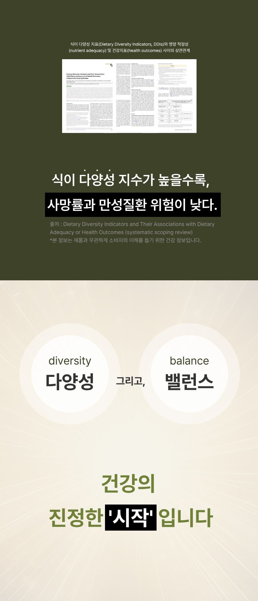 [한정수량 최대할인] 올카도 블렌딩 오일 밸런스 스틱 12box (6개월) 올리카도오일