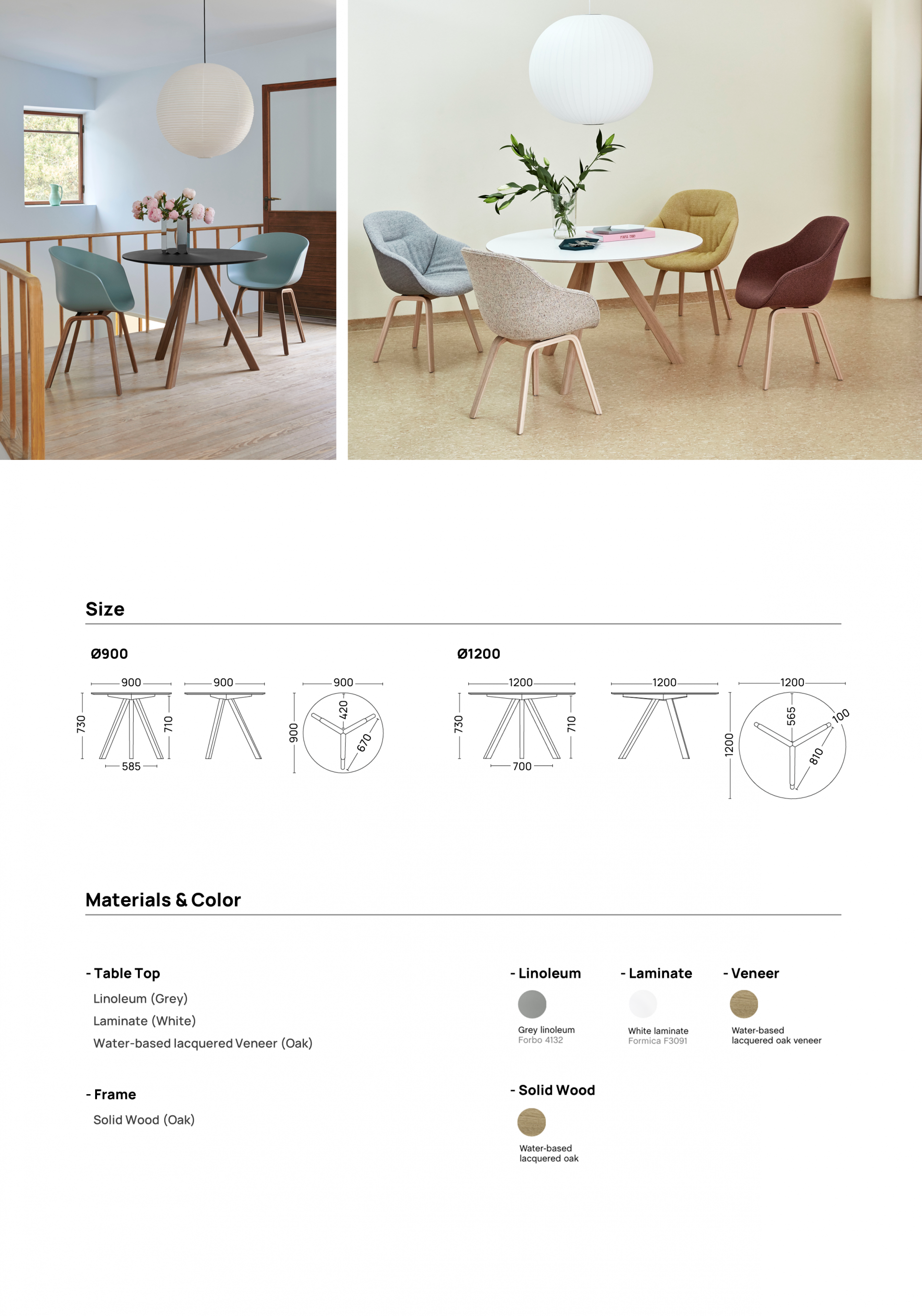 CPH20 Round Table