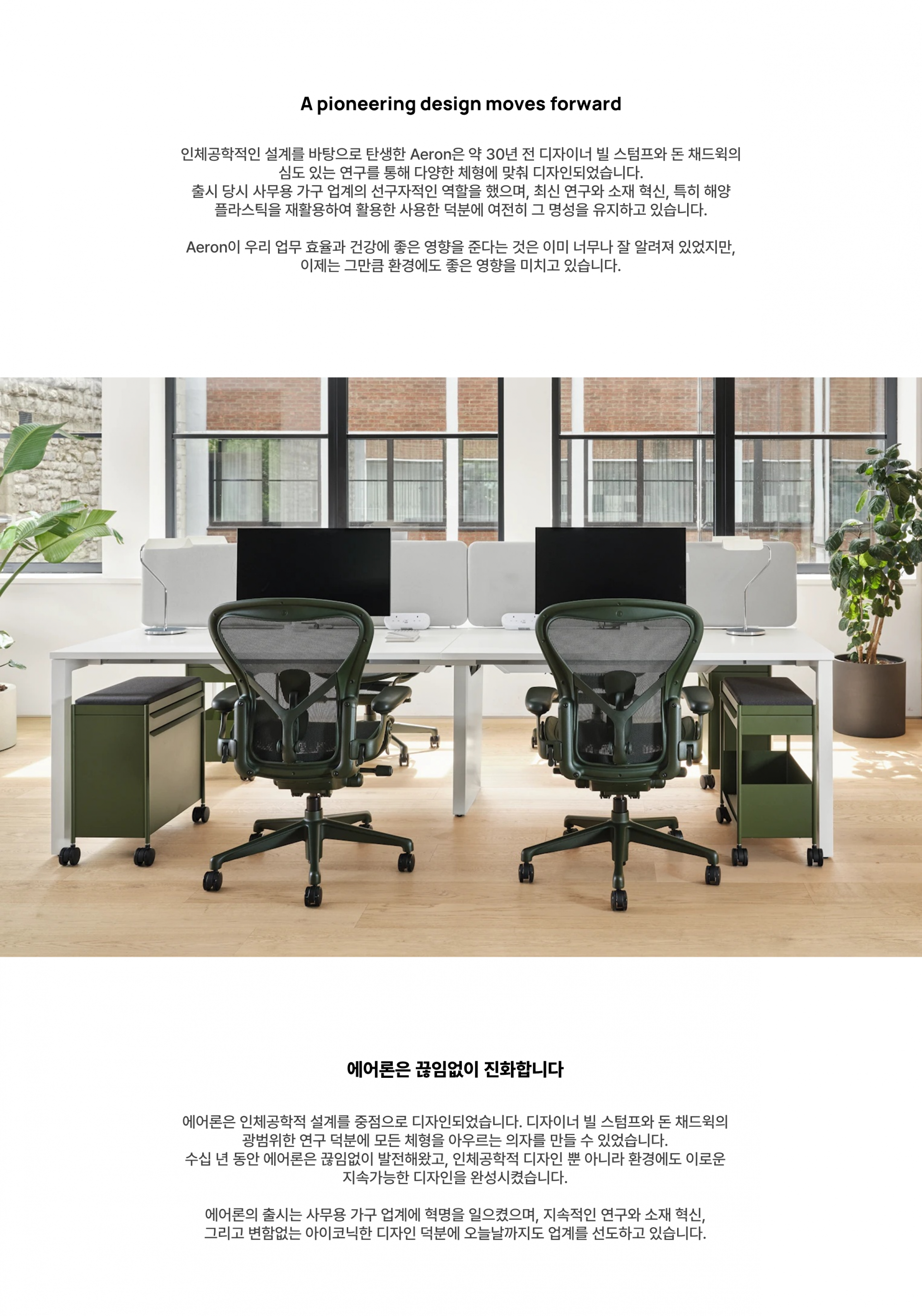 Aeron Chair
