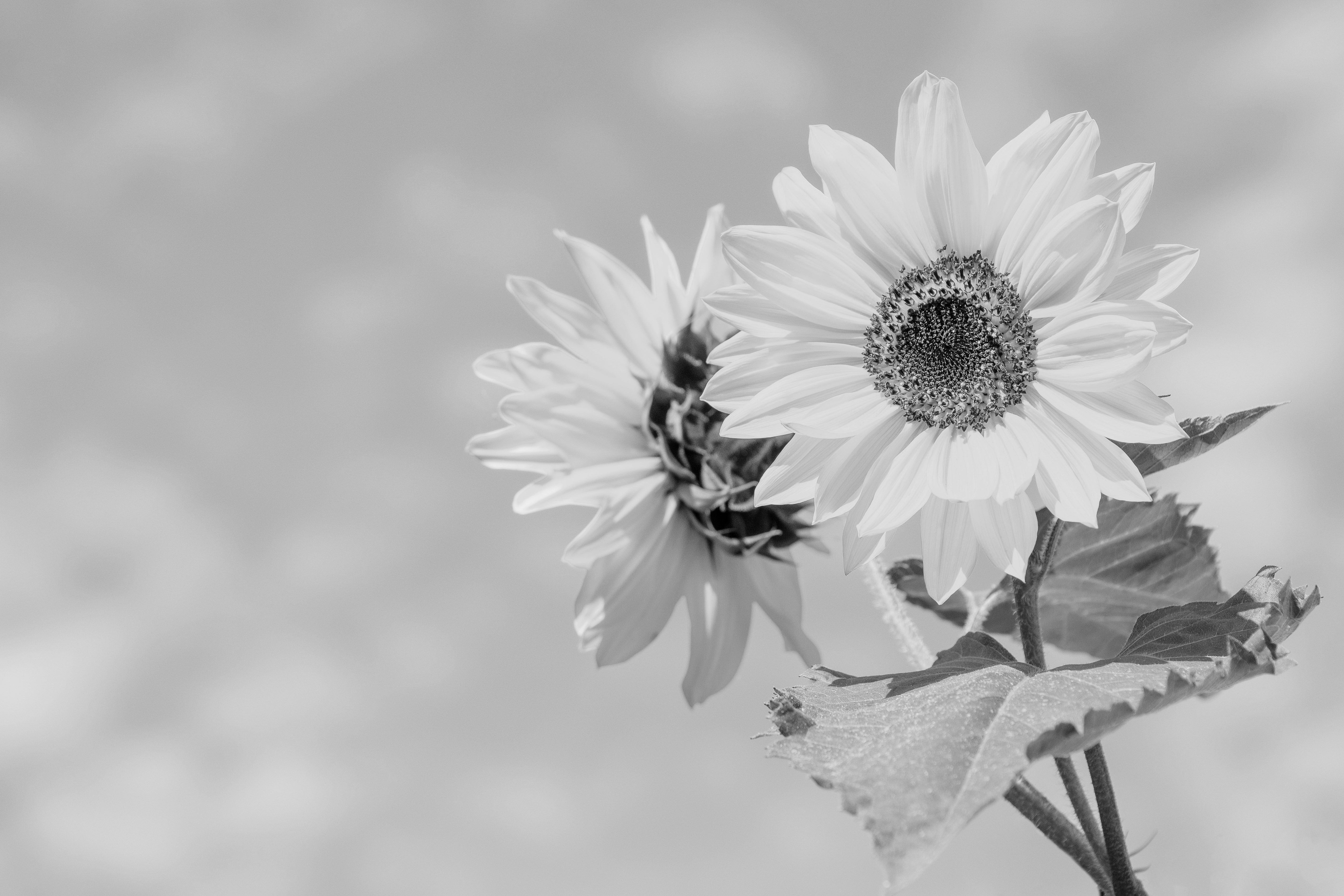 7f528d46976b2.jpg
