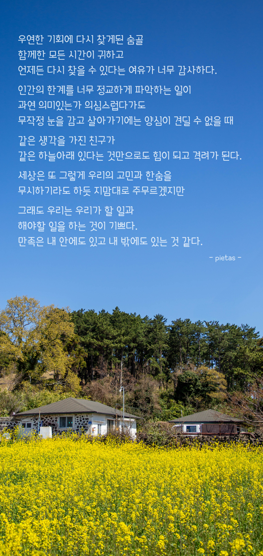 265844fecb64e.png