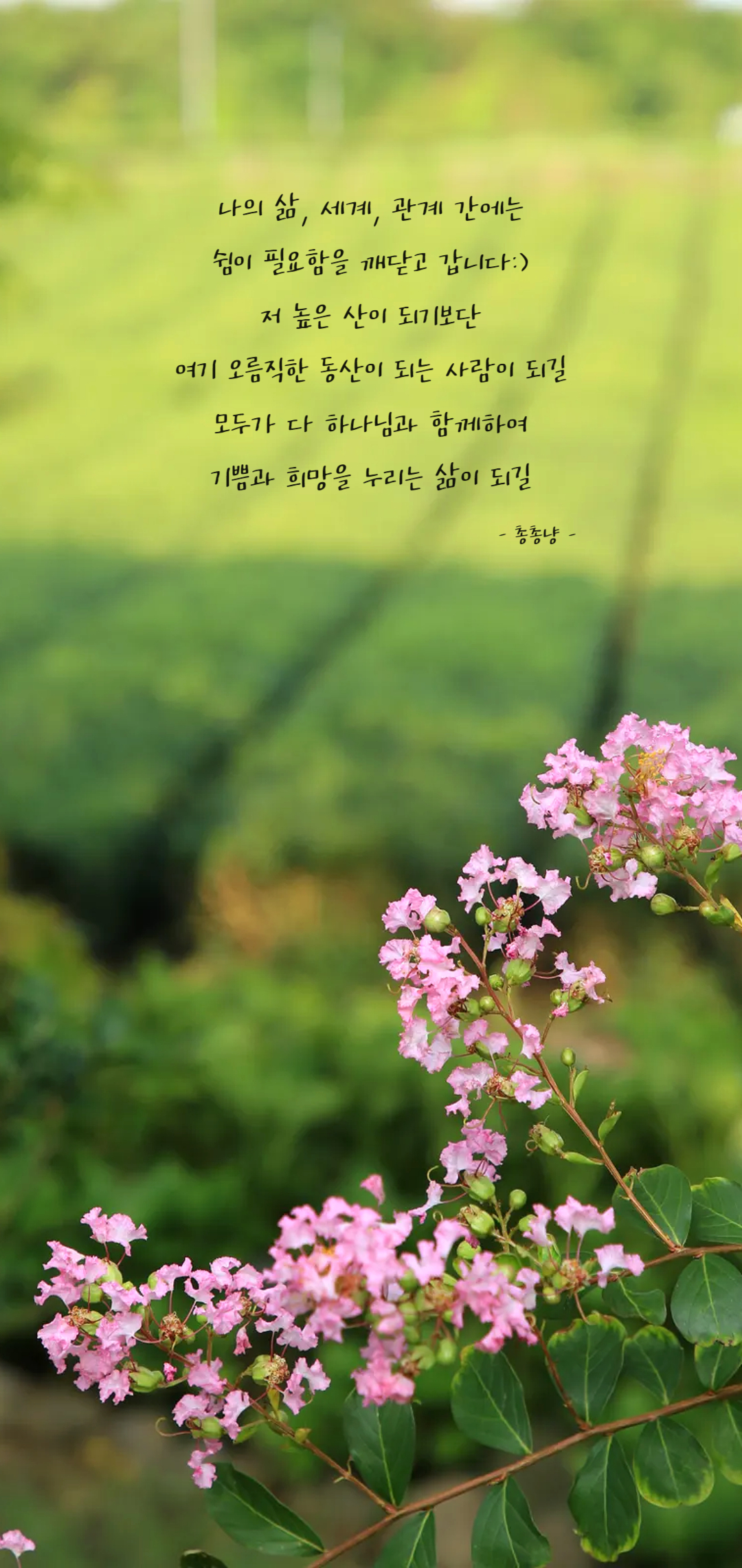 4ae078d3740d4.jpg